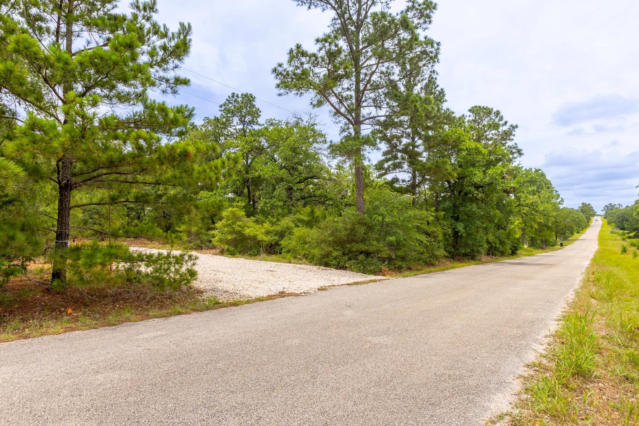 492 S Old Potato Rd, Paige, TX 78659