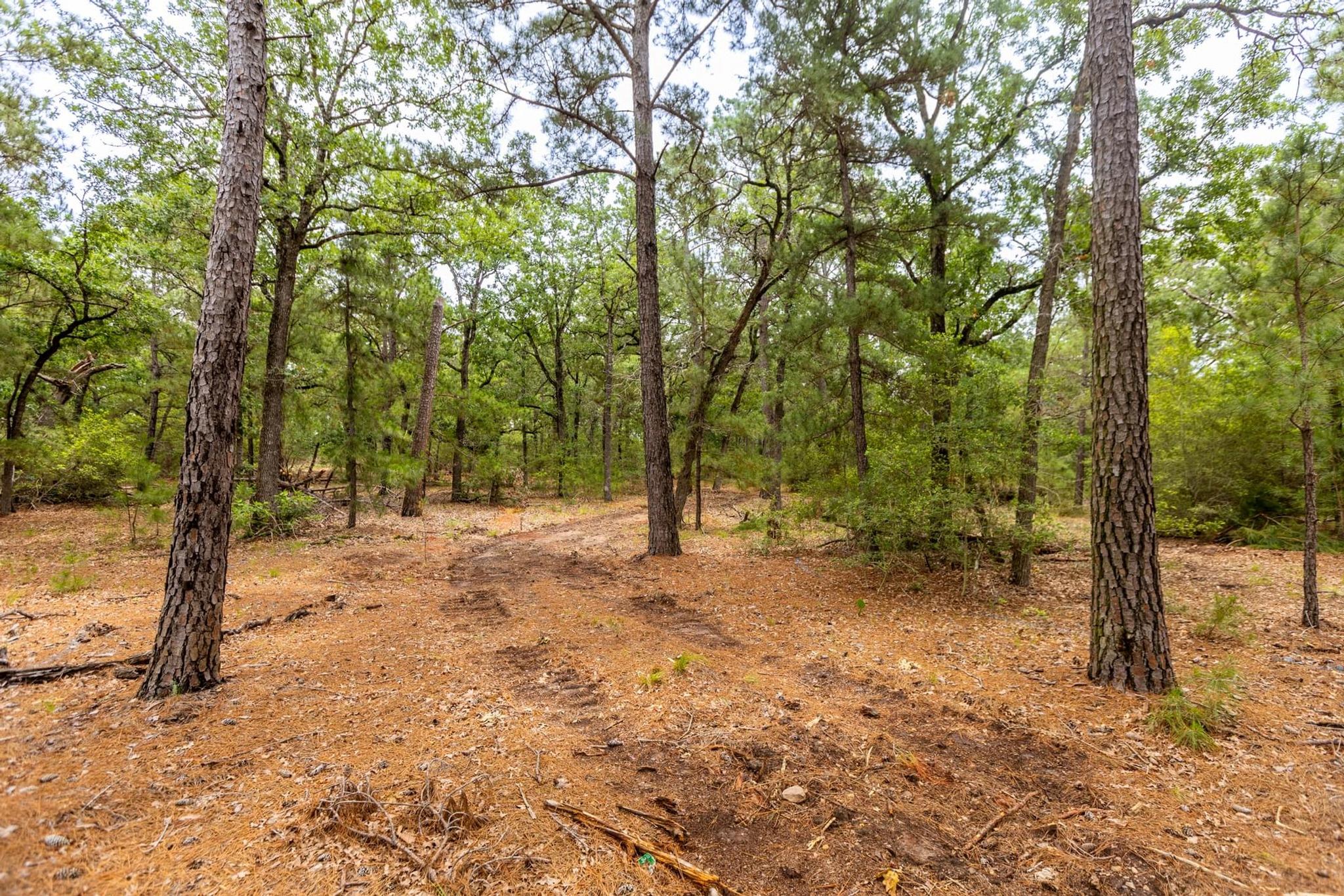 492 S Old Potato Rd, Paige, TX 78659