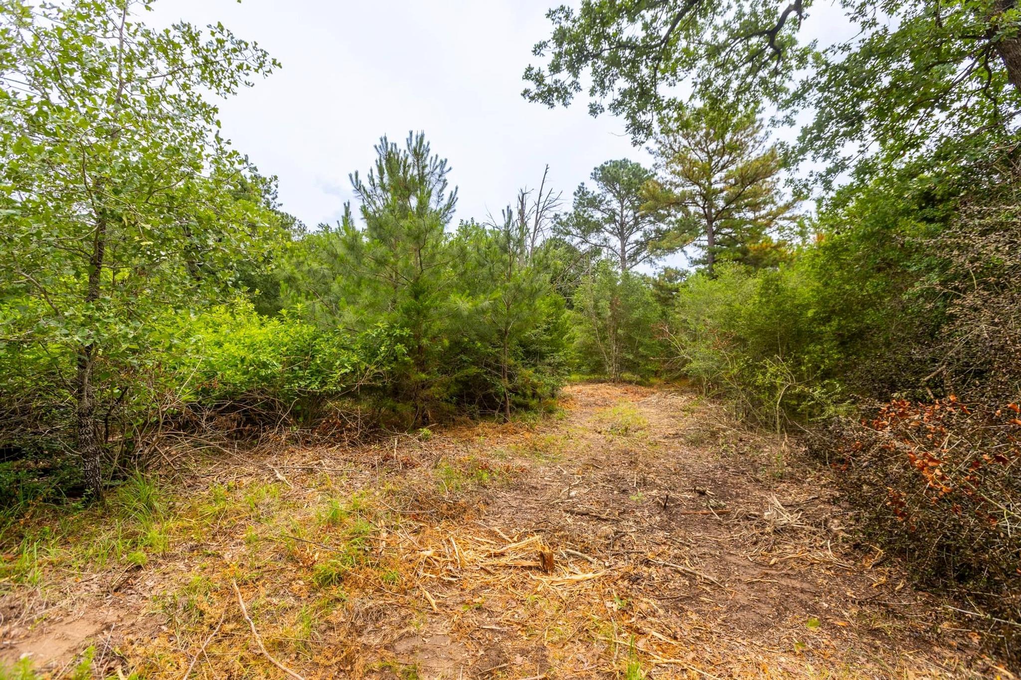 492 S Old Potato Rd, Paige, TX 78659