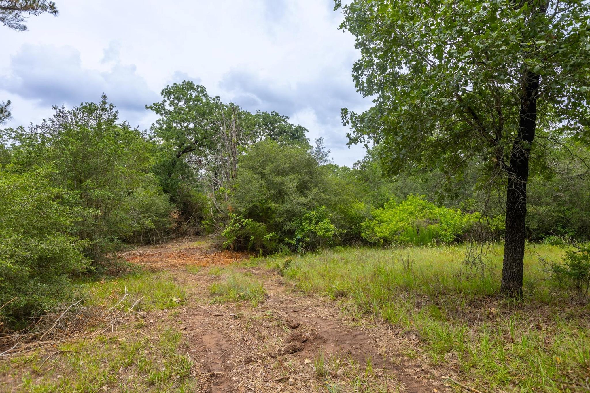 492 S Old Potato Rd, Paige, TX 78659