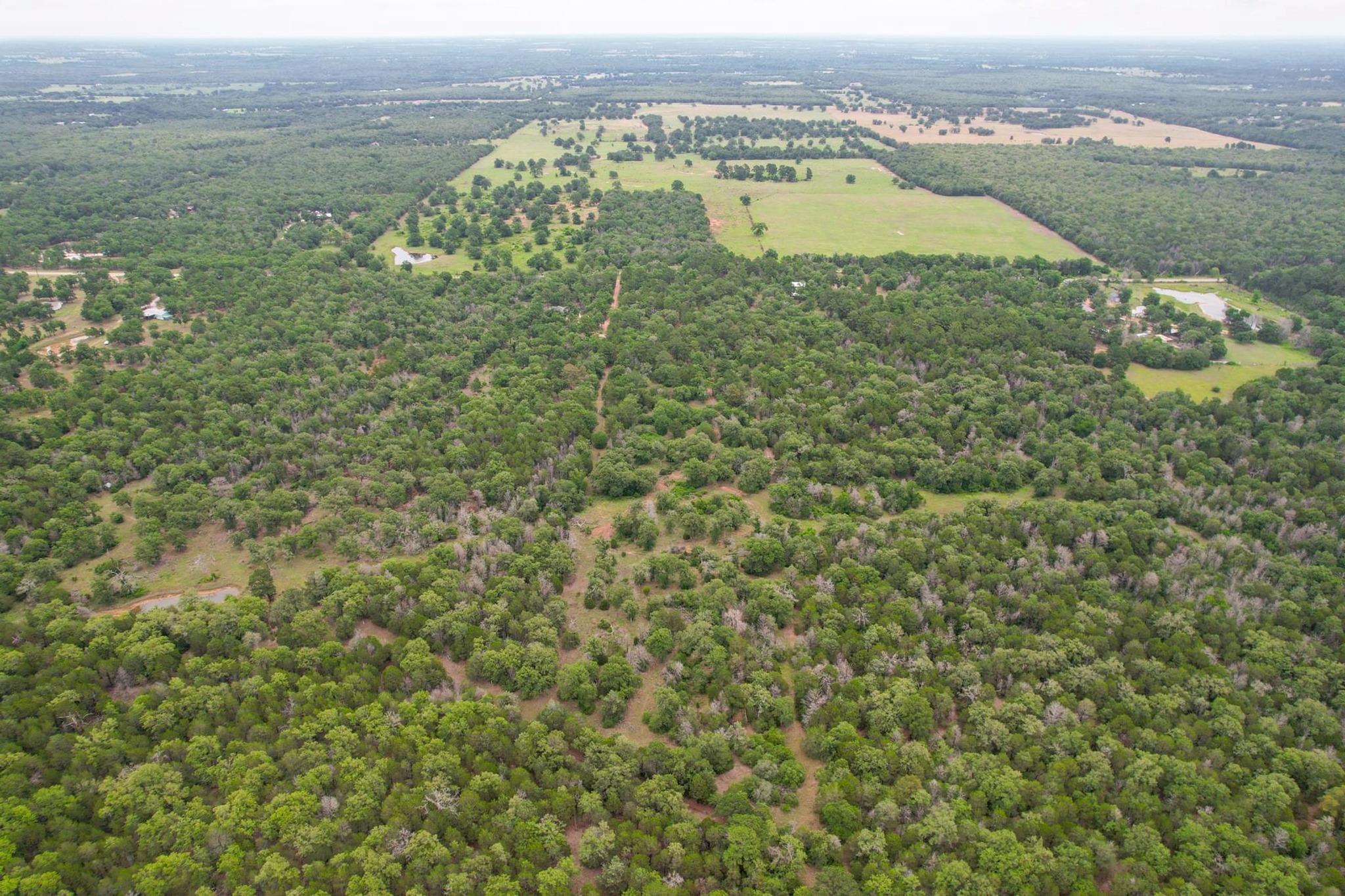 492 S Old Potato Rd, Paige, TX 78659