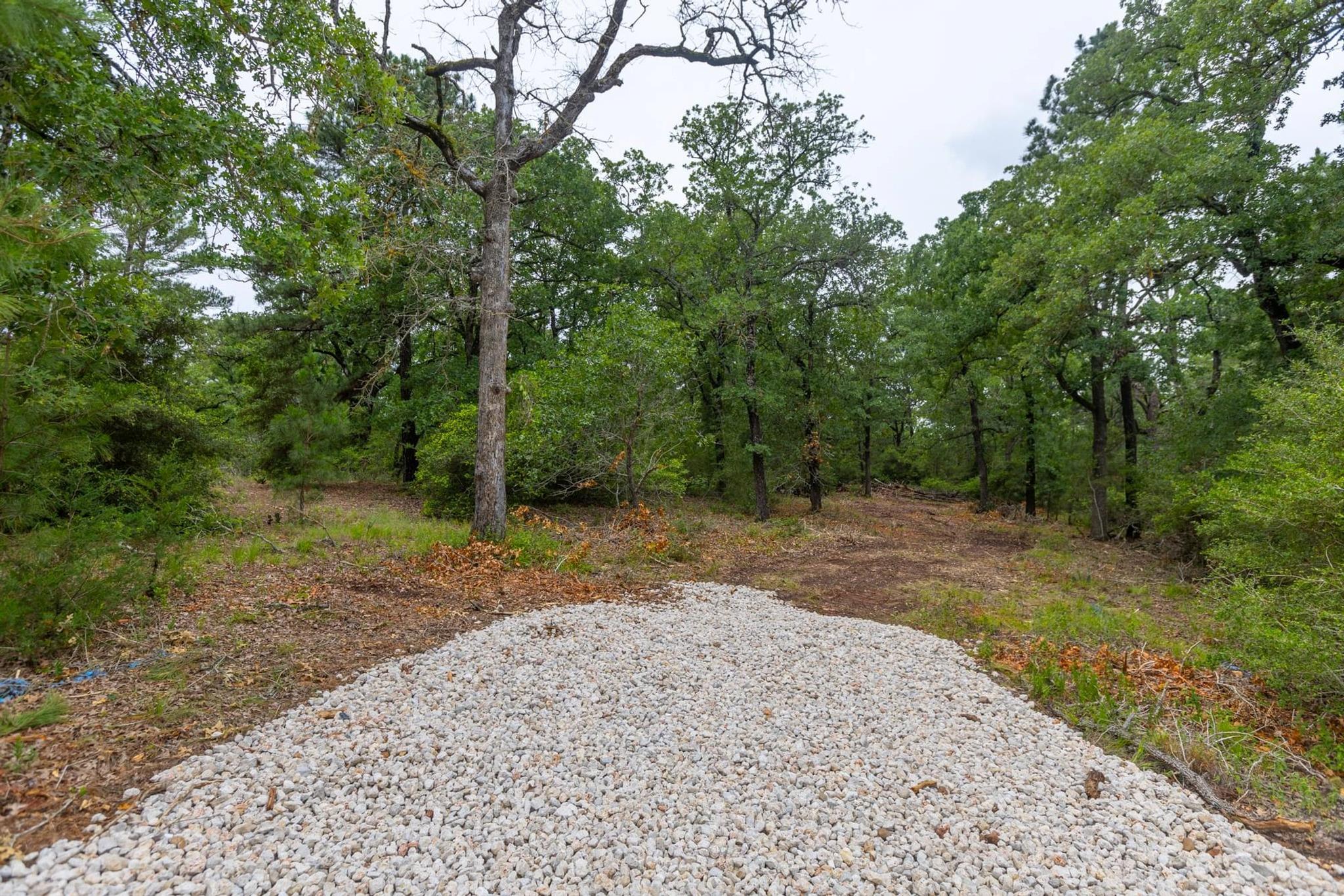 492 S Old Potato Rd, Paige, TX 78659