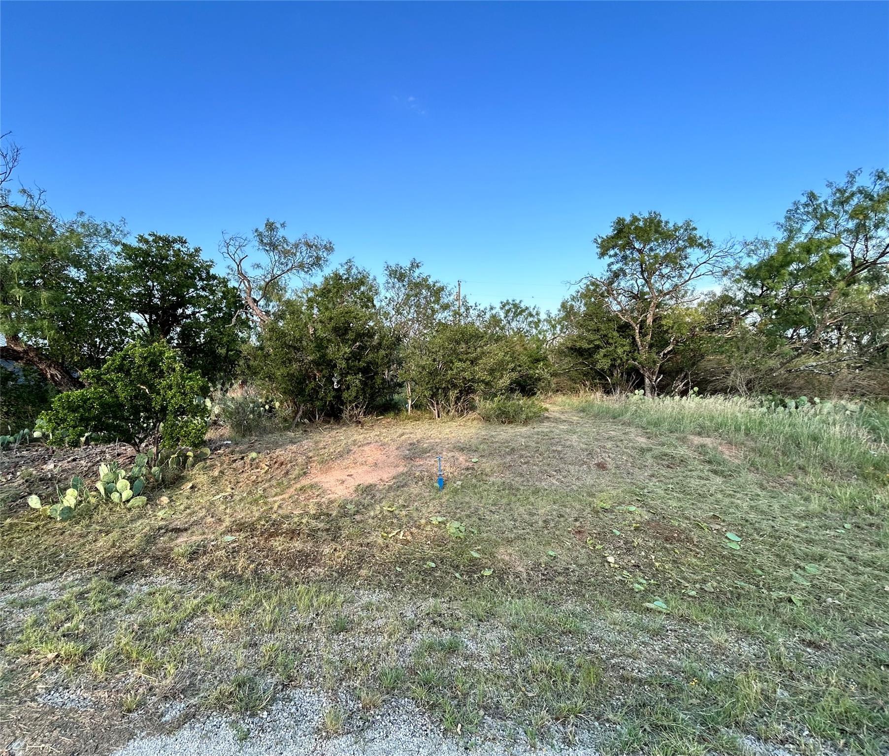 TBD Cactus Trl, Kingsland, TX 78639