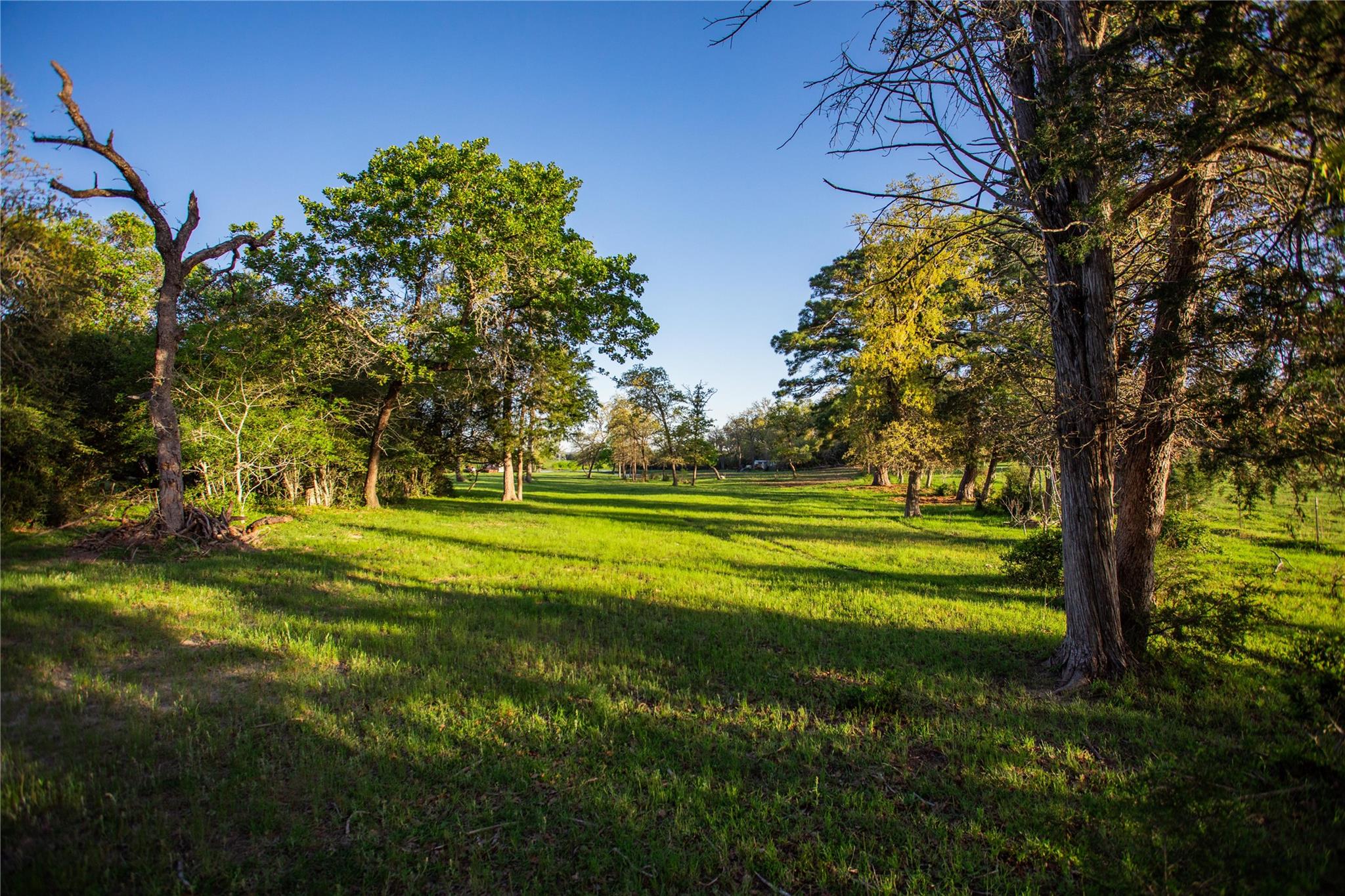 278 Cstern Rd, Rosanky, TX 78953