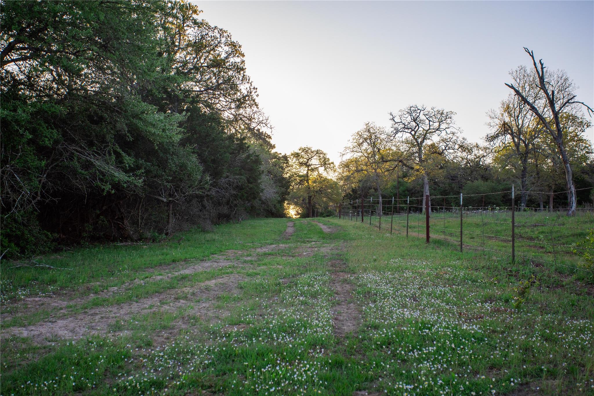278 Cstern Rd, Rosanky, TX 78953