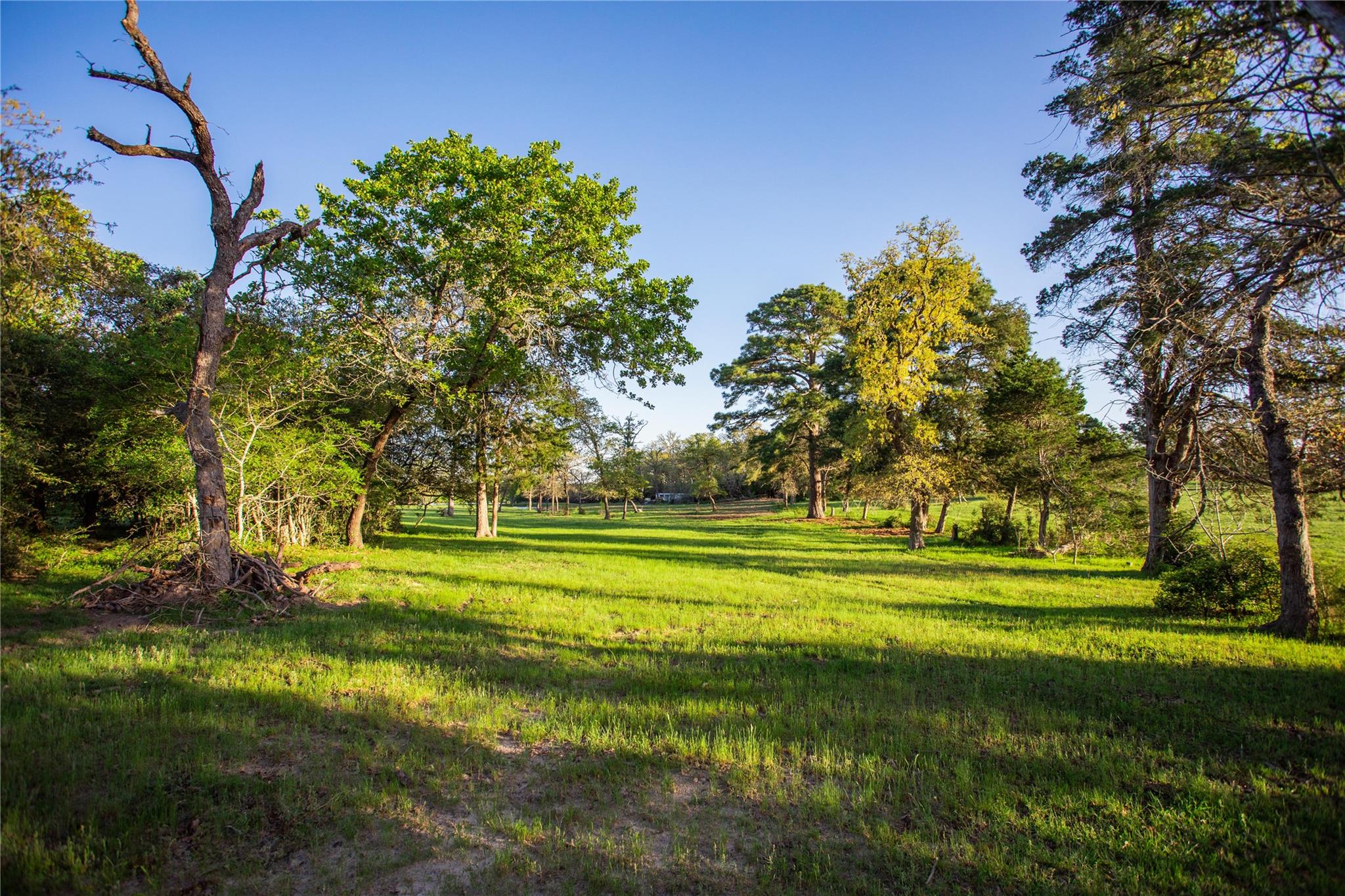 278 Cstern Rd, Rosanky, TX 78953