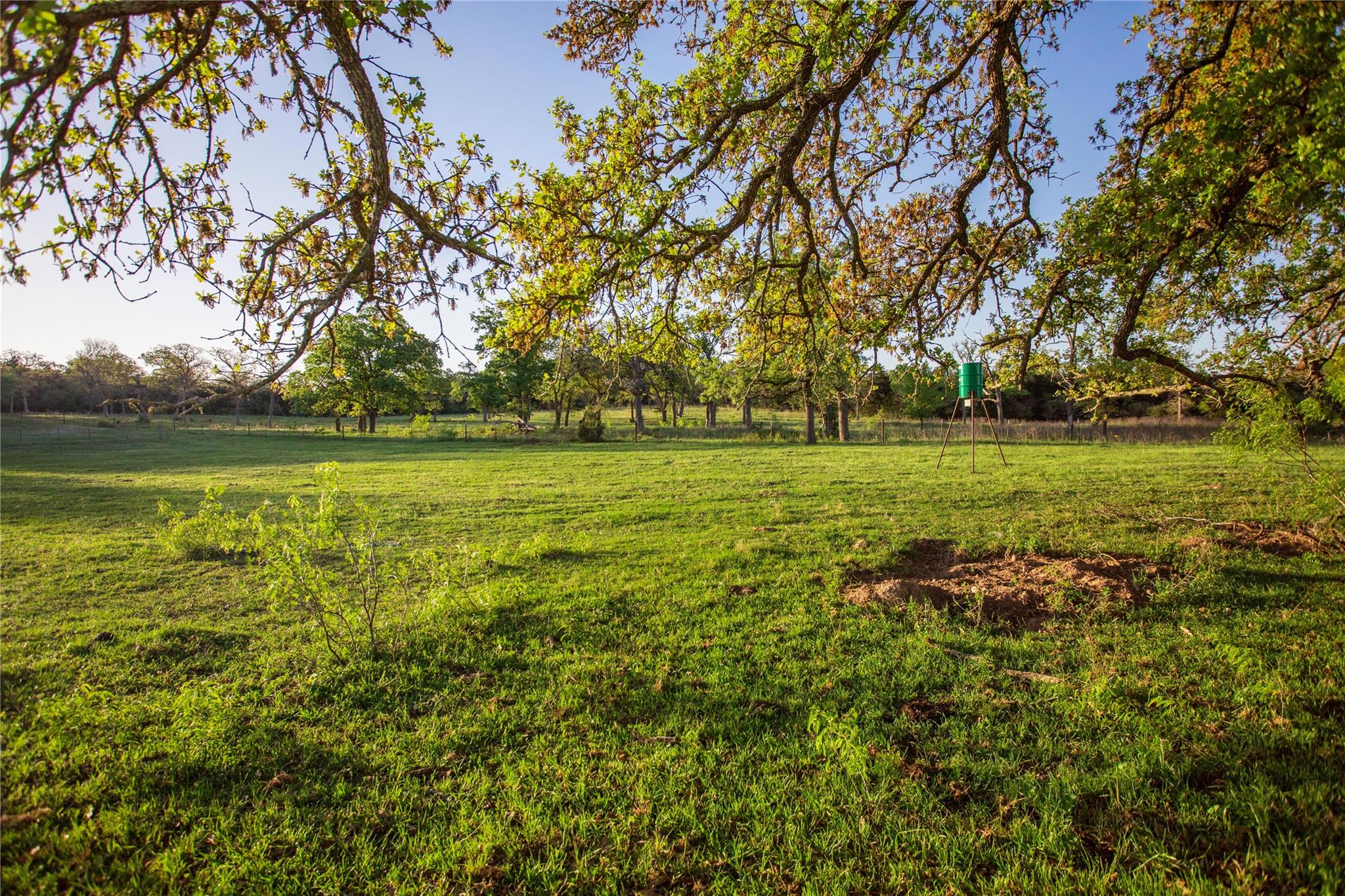 278 Cstern Rd, Rosanky, TX 78953