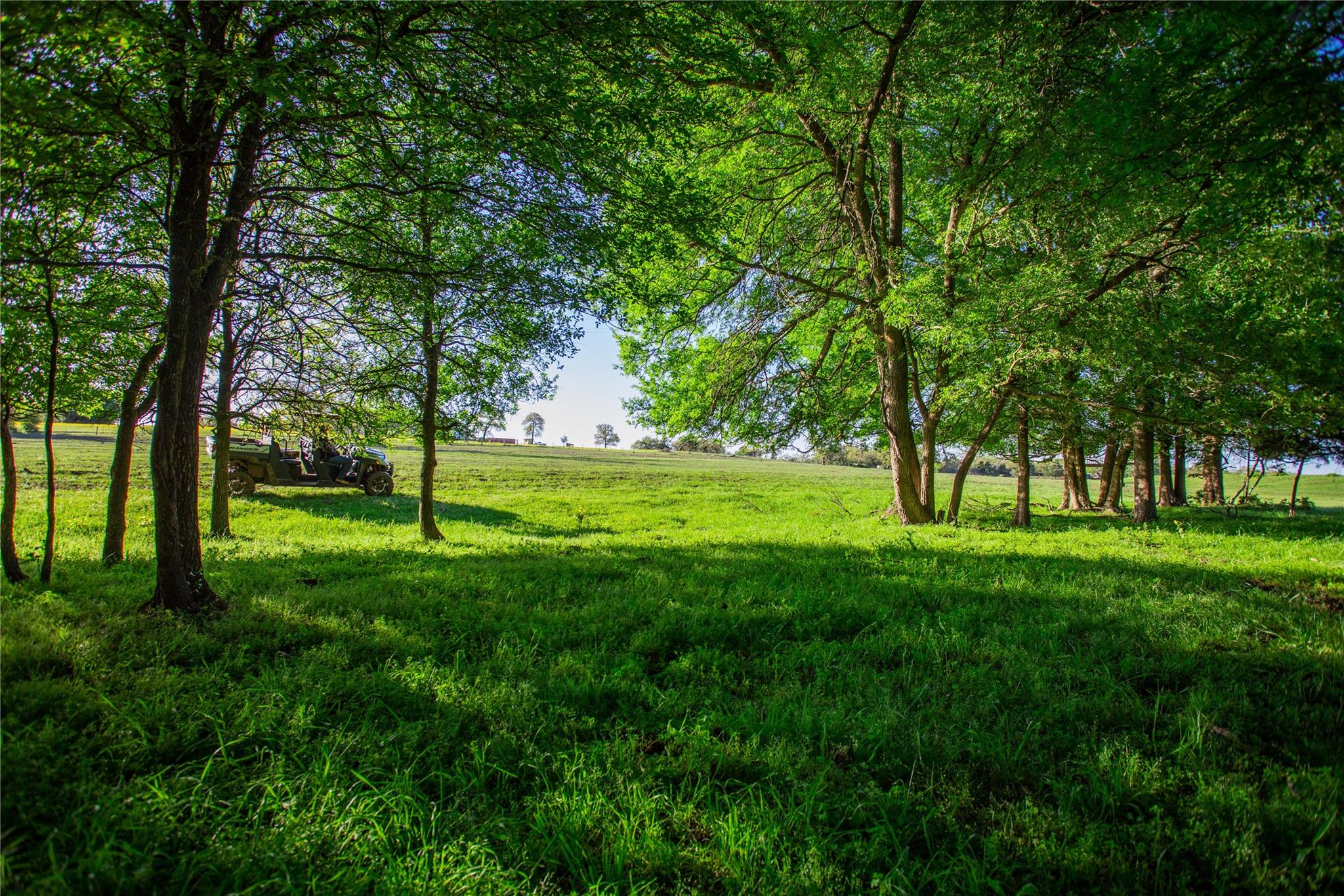 278 Cstern Rd, Rosanky, TX 78953