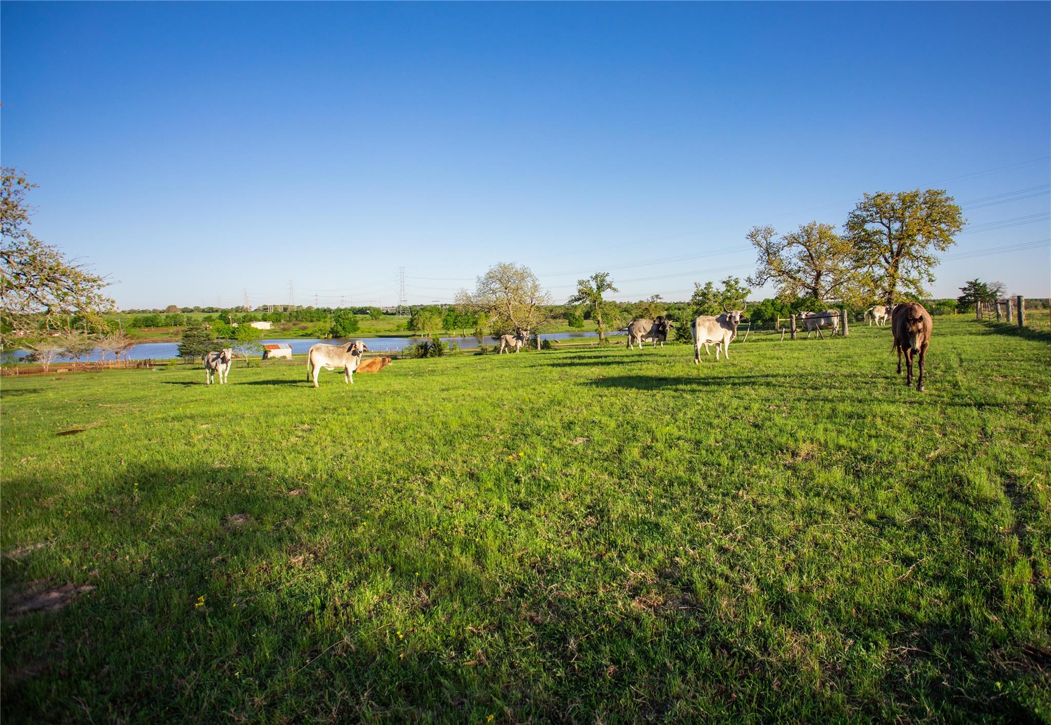 278 Cstern Rd, Rosanky, TX 78953
