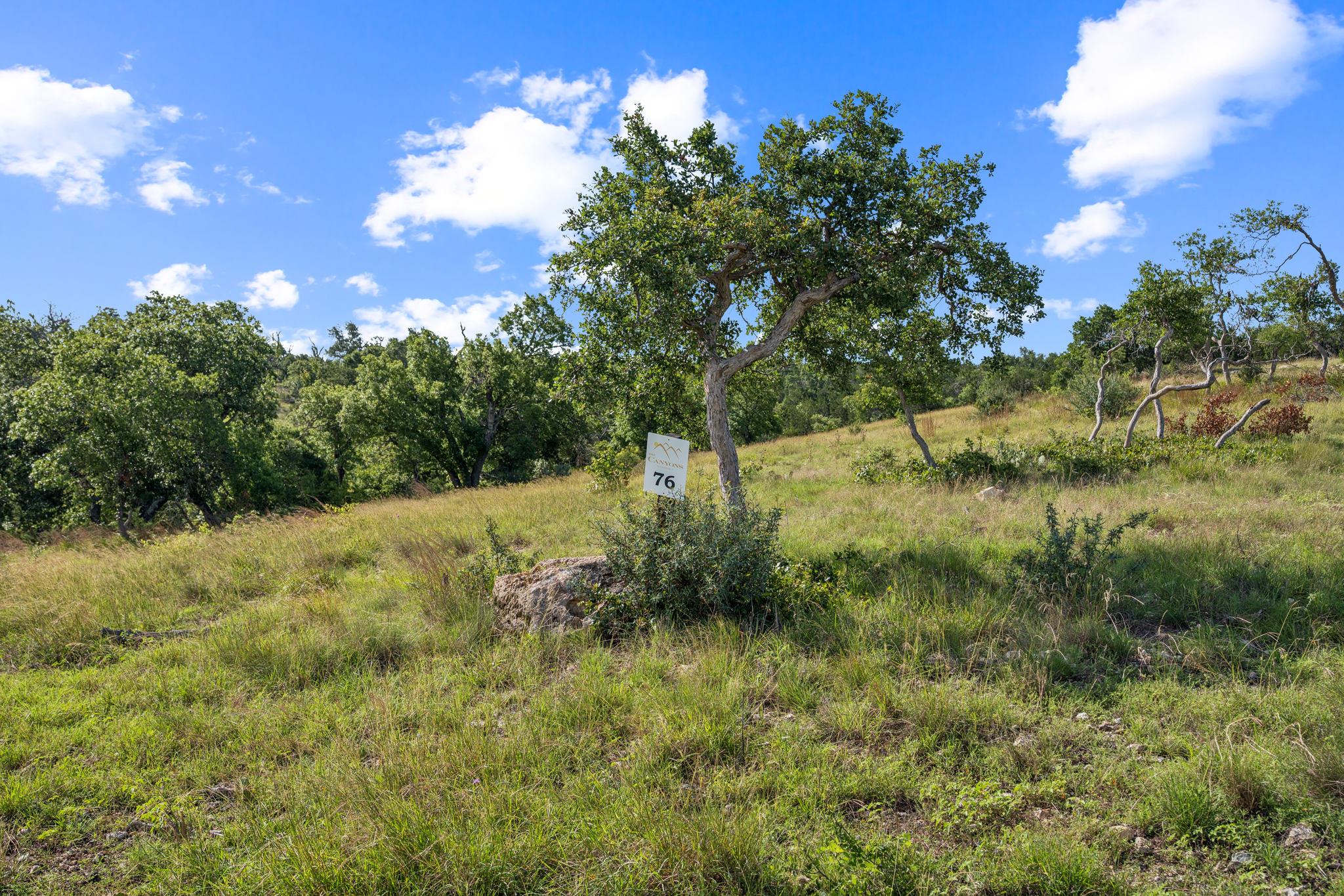 420 Canyons Dr # Lot 76, Fredericksburg, TX 78624