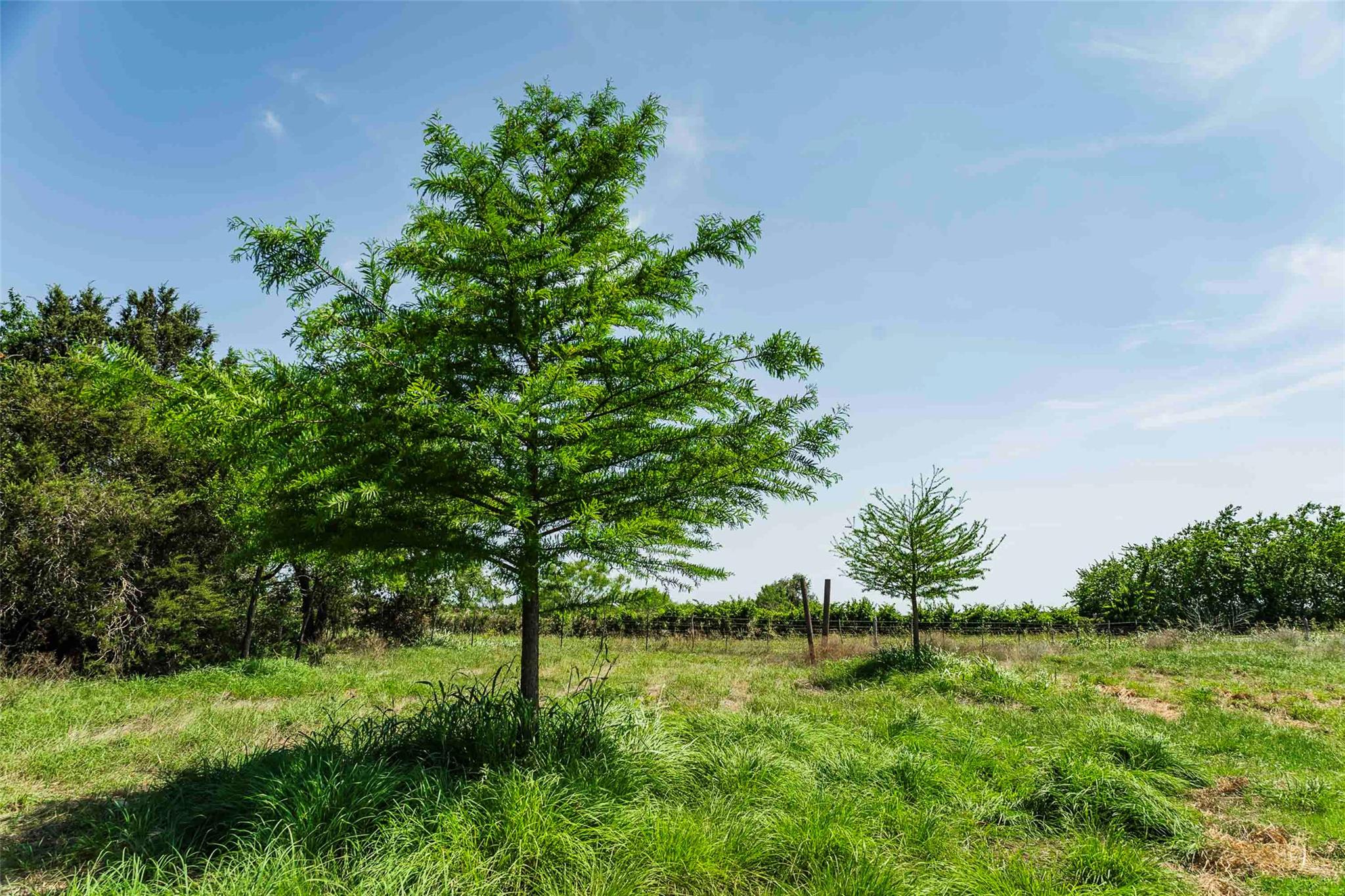 TBD Tract 2 County Road 203, Burnet, TX 78611