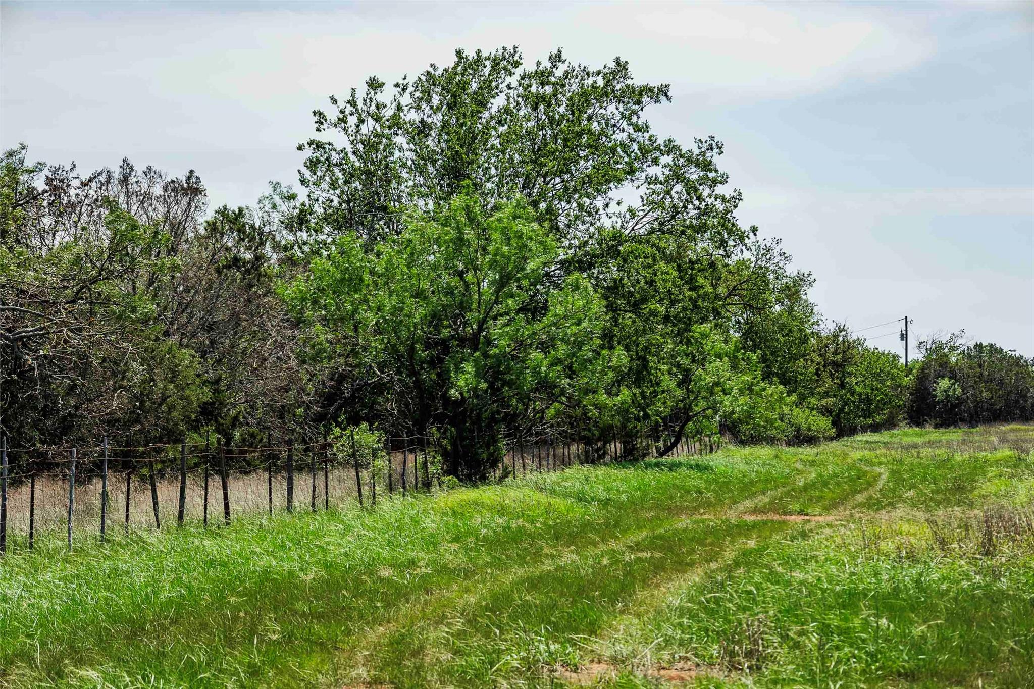 TBD Tract 2 County Road 203, Burnet, TX 78611