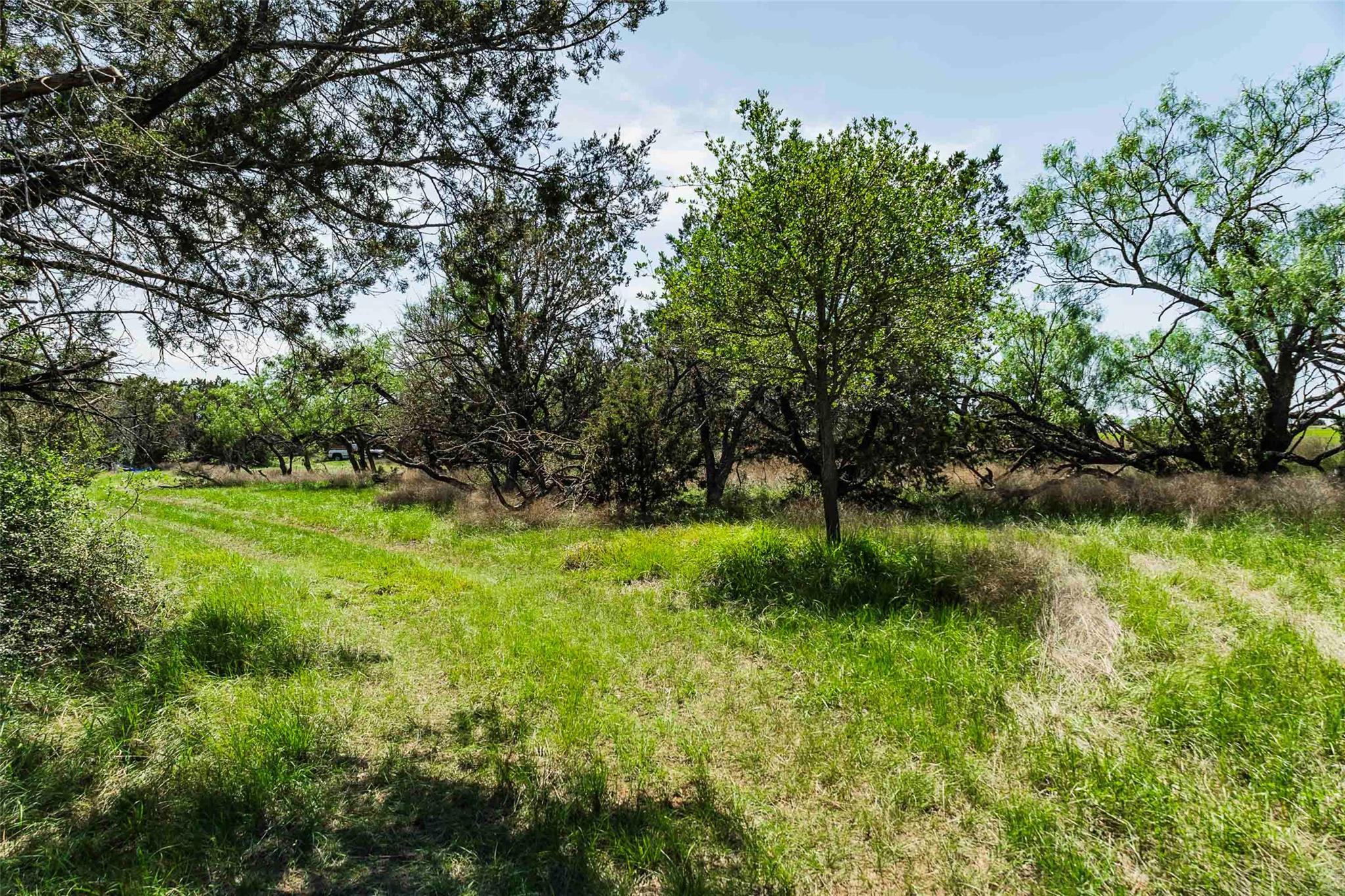 TBD Tract 2 County Road 203, Burnet, TX 78611