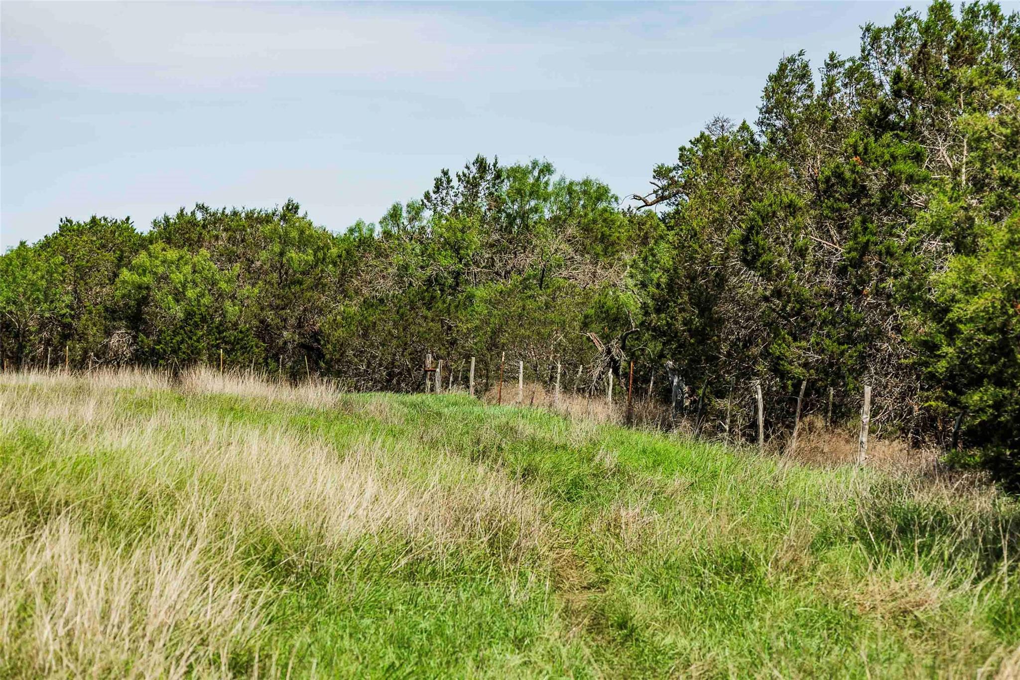 TBD Tract 2 County Road 203, Burnet, TX 78611