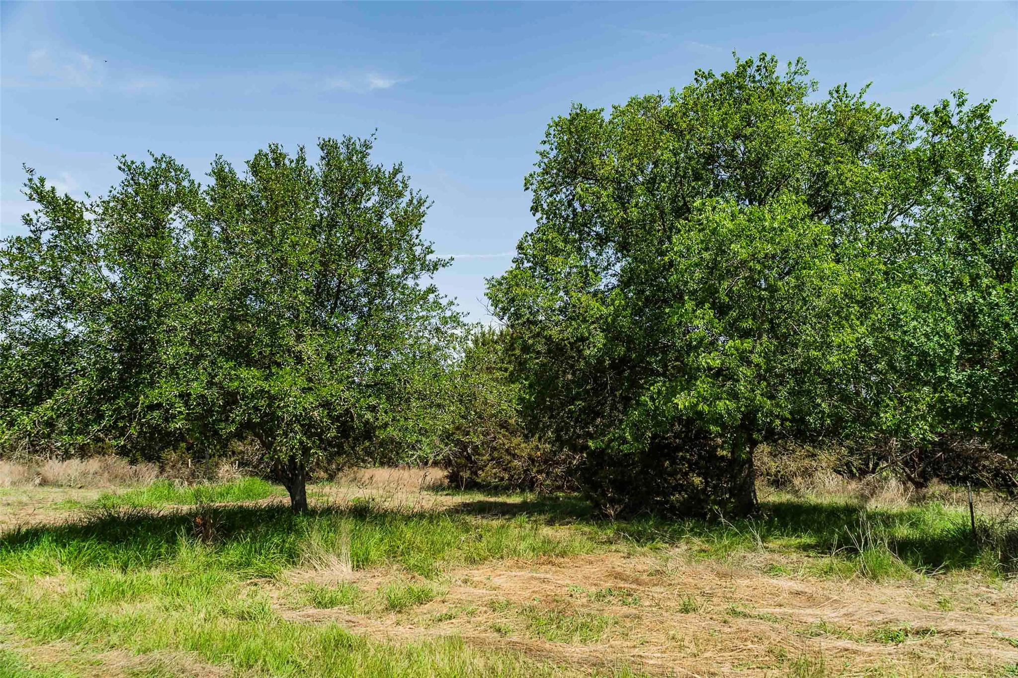 TBD Tract 2 County Road 203, Burnet, TX 78611