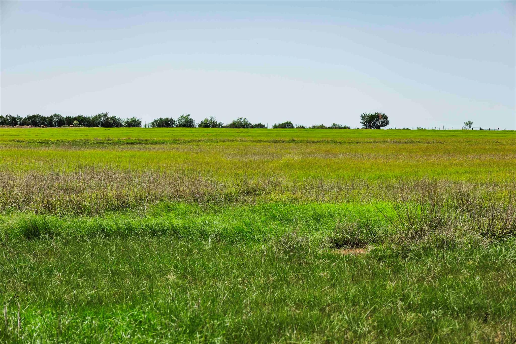 TBD Tract 2 County Road 203, Burnet, TX 78611