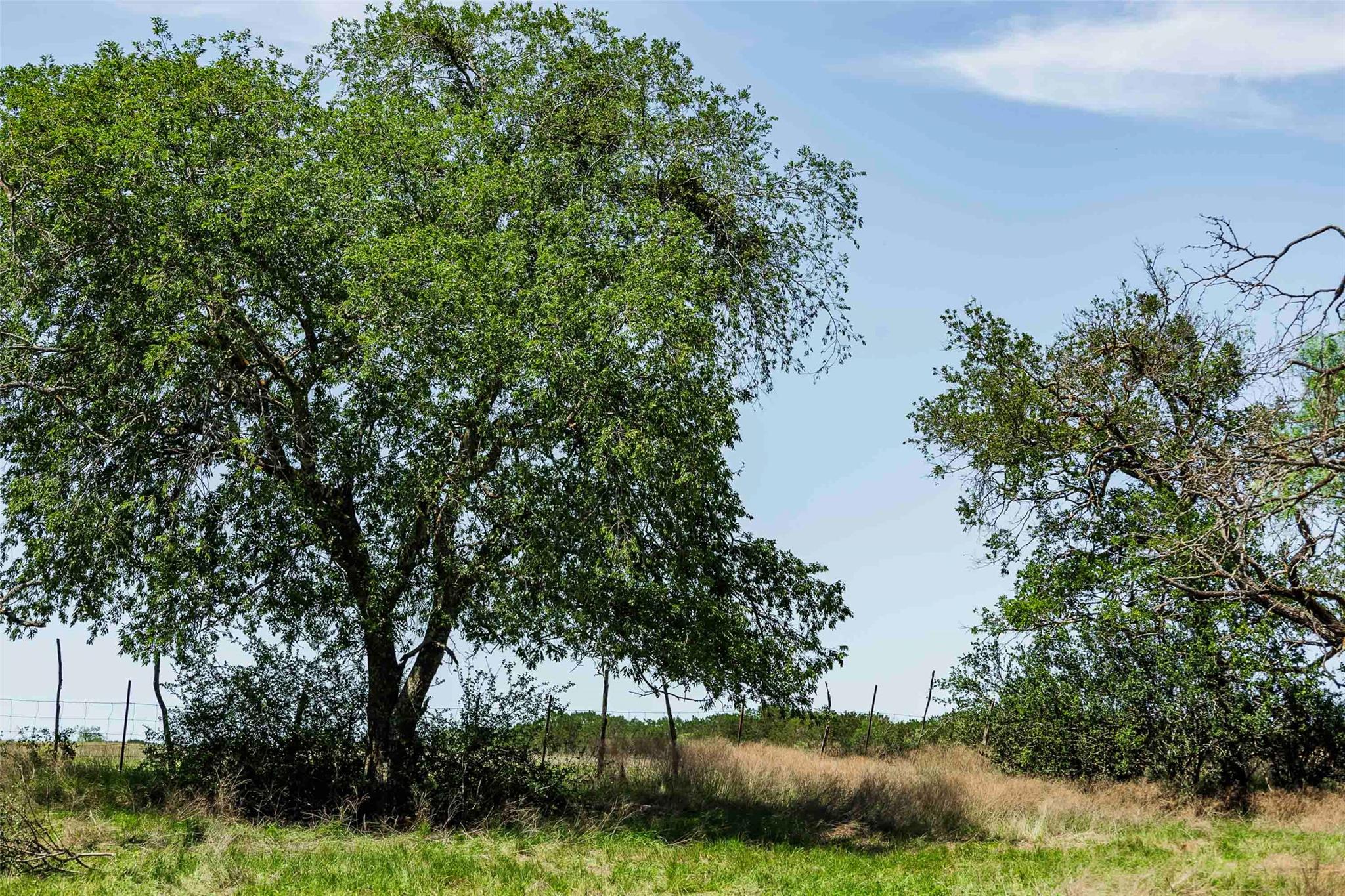 TBD Tract 2 County Road 203, Burnet, TX 78611