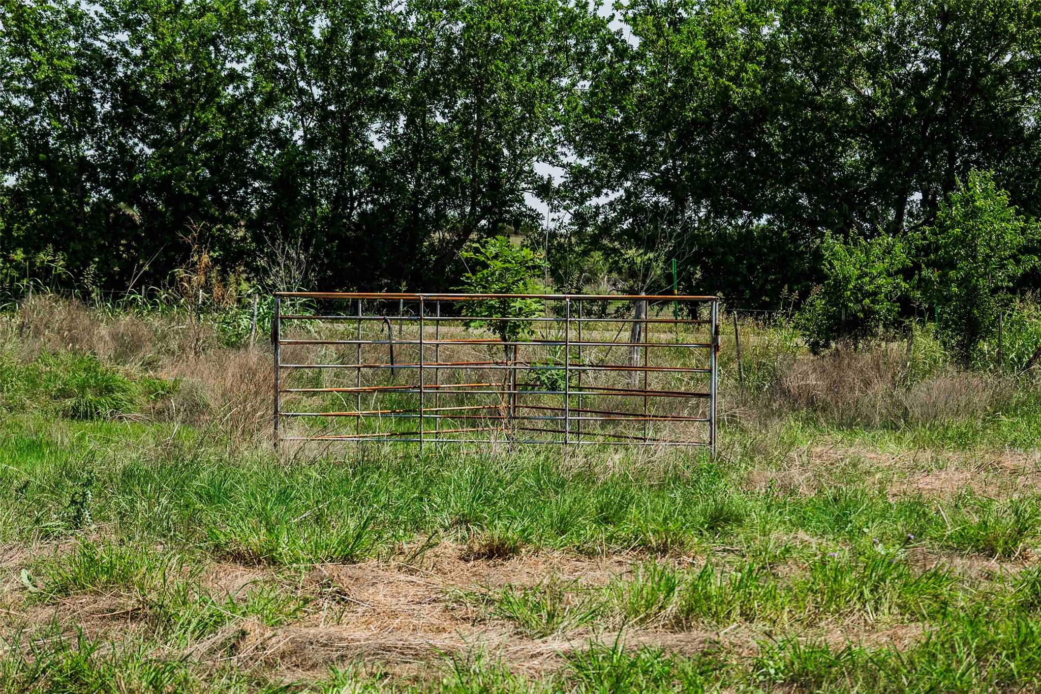 TBD Tract 2 County Road 203, Burnet, TX 78611