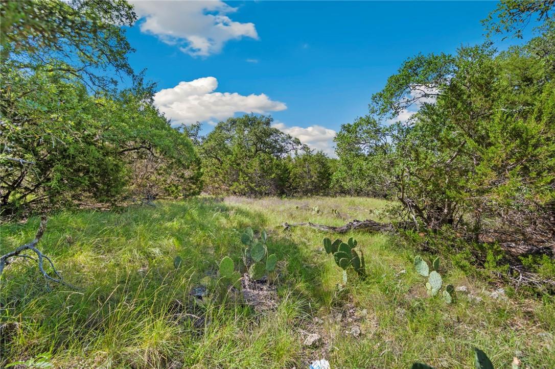 0 TBD, Lot 473, New Braunfels, TX 78132