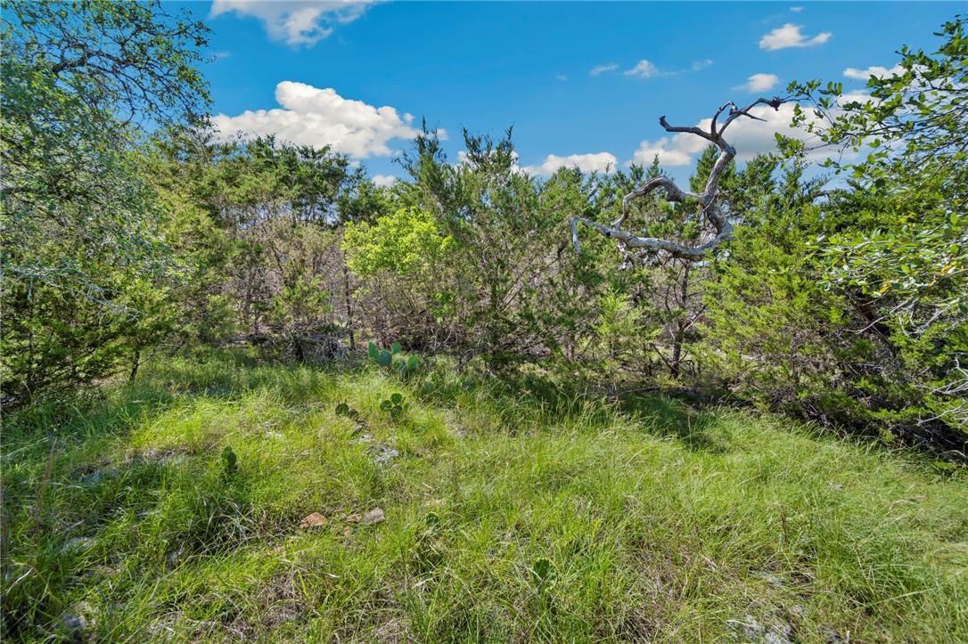0 TBD, Lot 473, New Braunfels, TX 78132