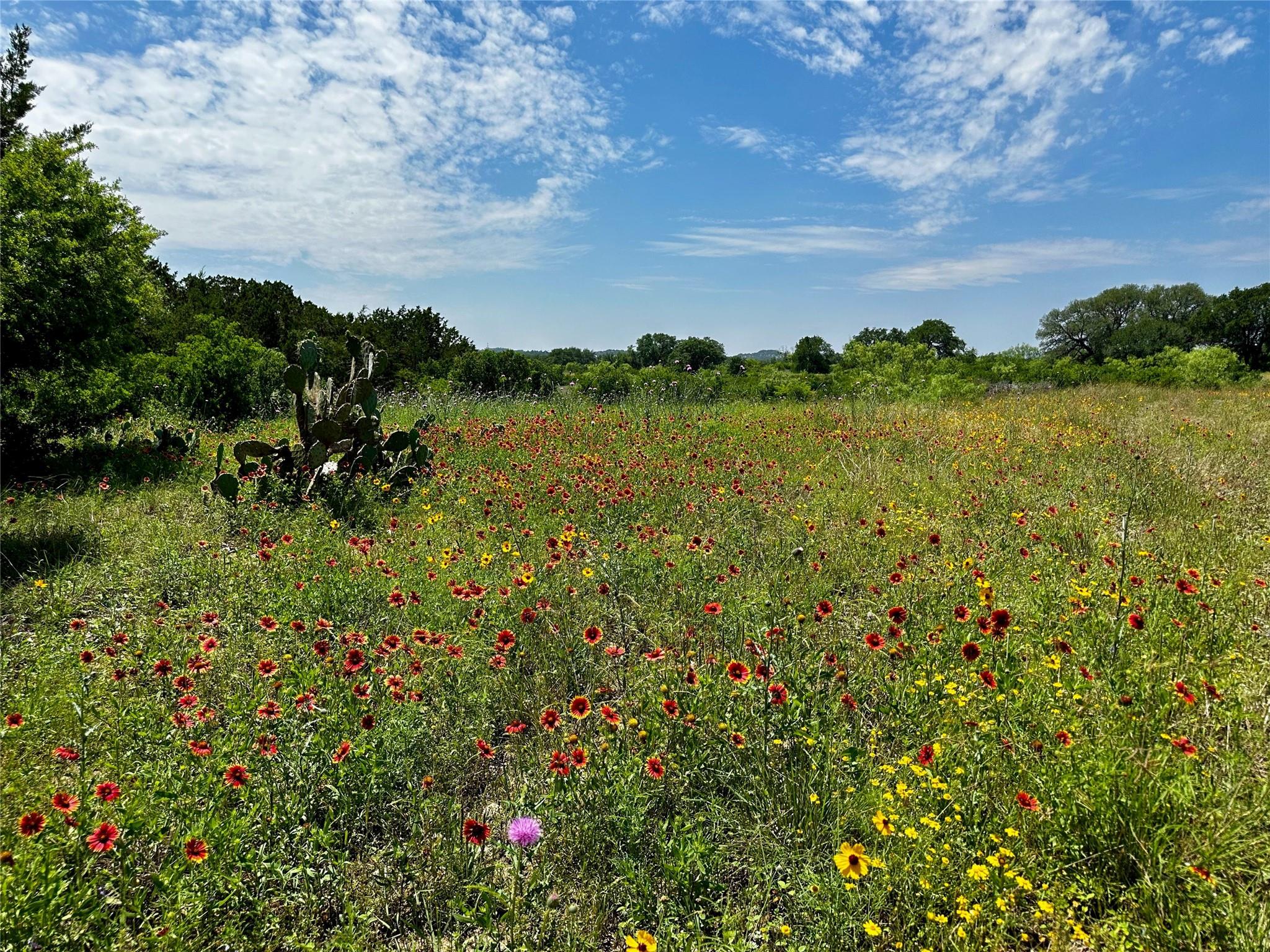 Lot 4 Colorado Canyon Dr, Marble Falls, TX 78654