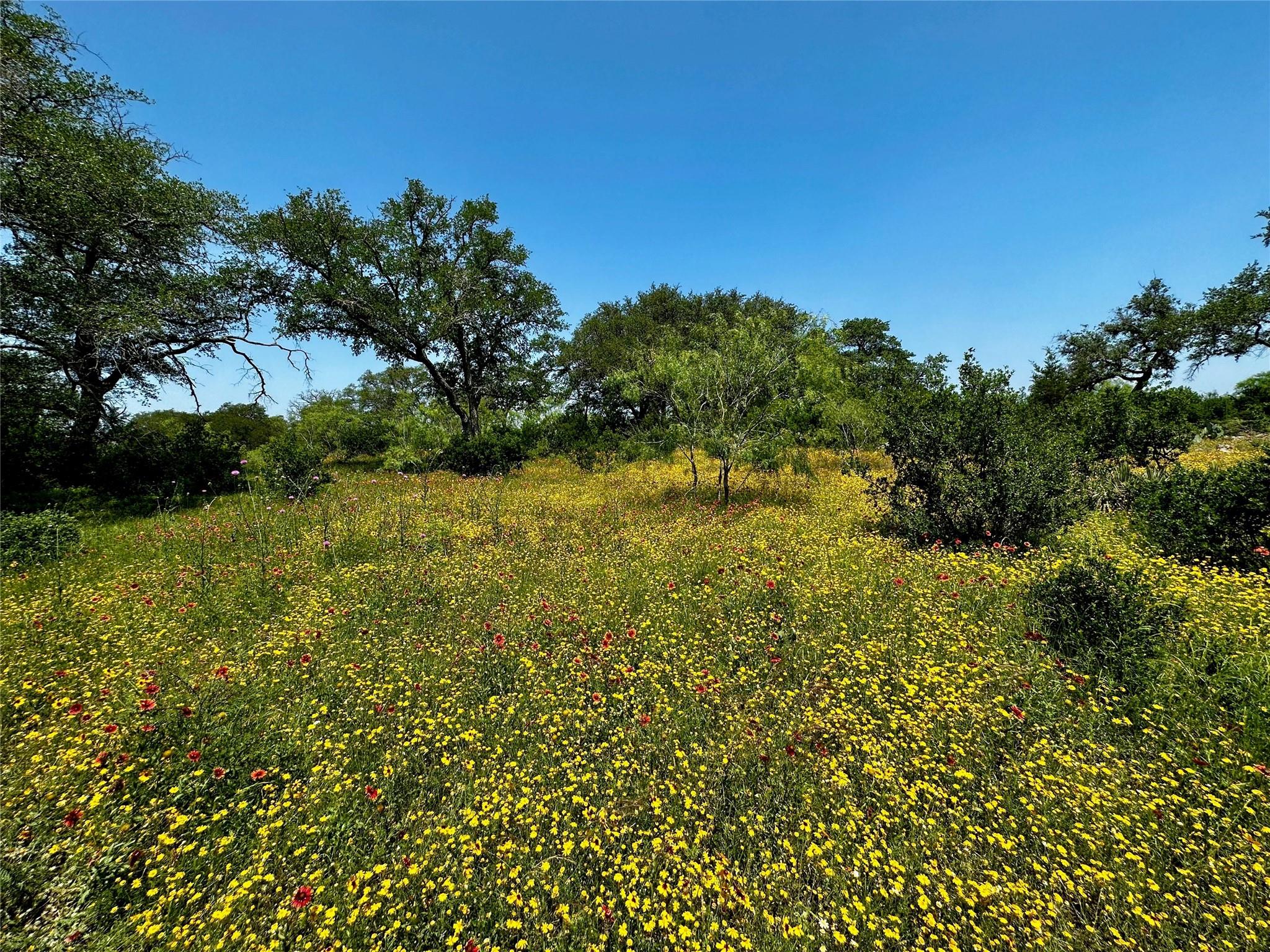 Lot 4 Colorado Canyon Dr, Marble Falls, TX 78654