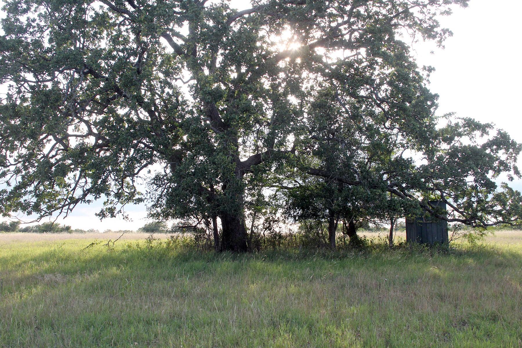 6020 FM 3158 Highway, Dale, TX 78616