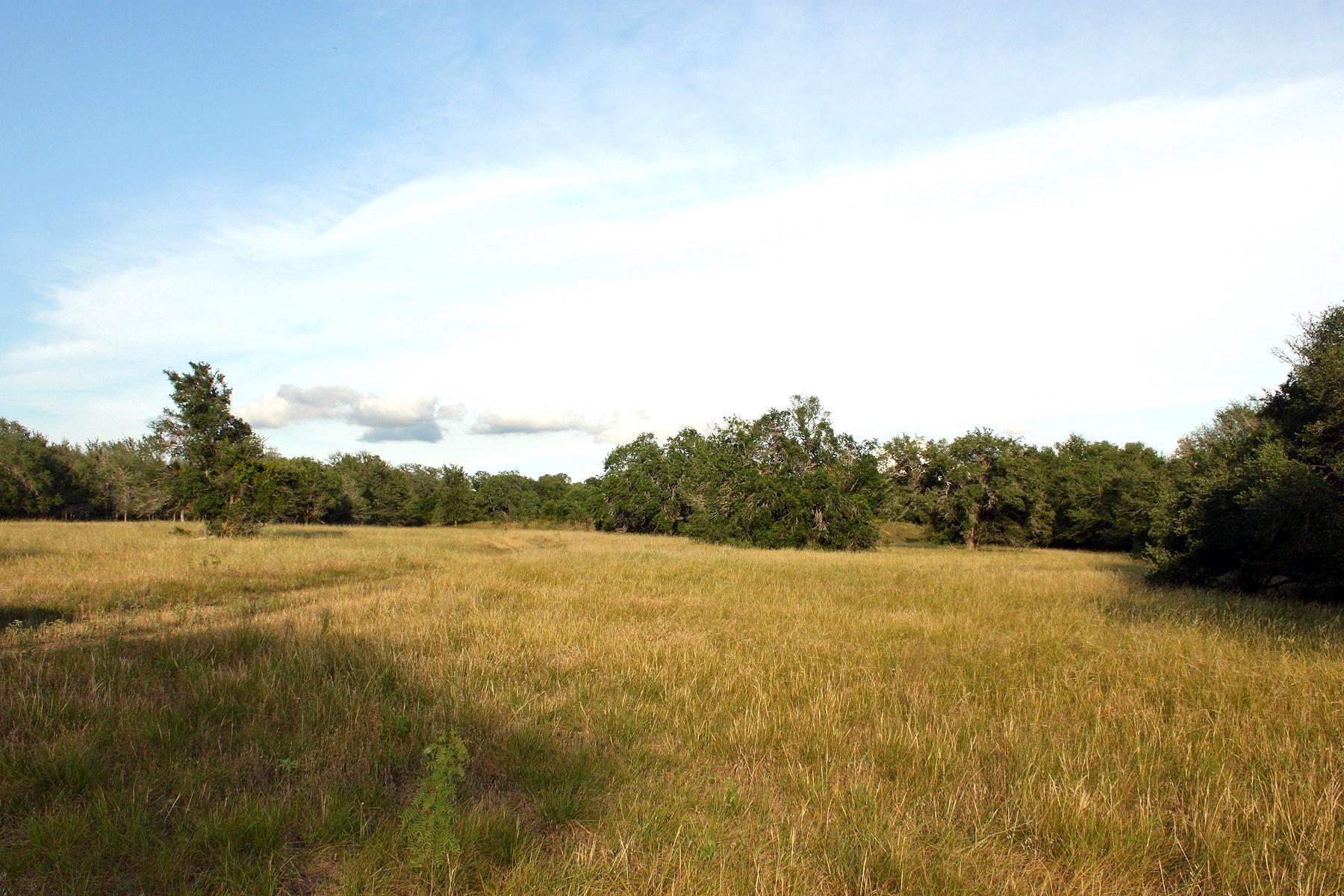 6020 FM 3158 Highway, Dale, TX 78616