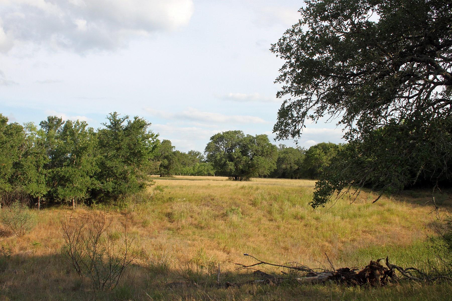 6020 FM 3158 Highway, Dale, TX 78616