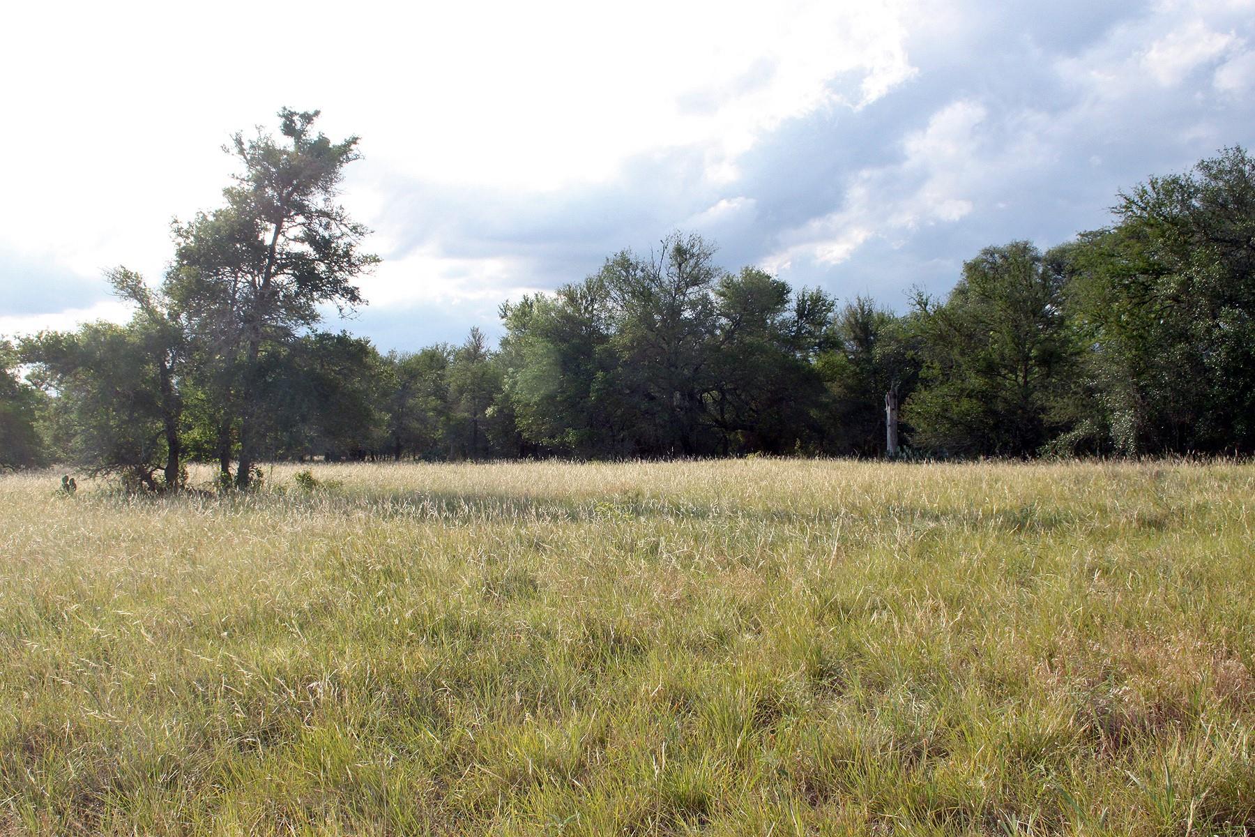 6020 FM 3158 Highway, Dale, TX 78616