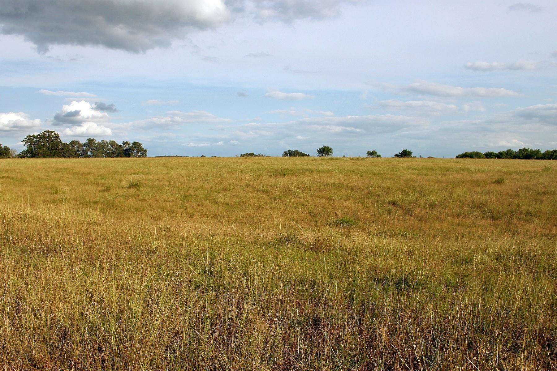 6020 FM 3158 Highway, Dale, TX 78616