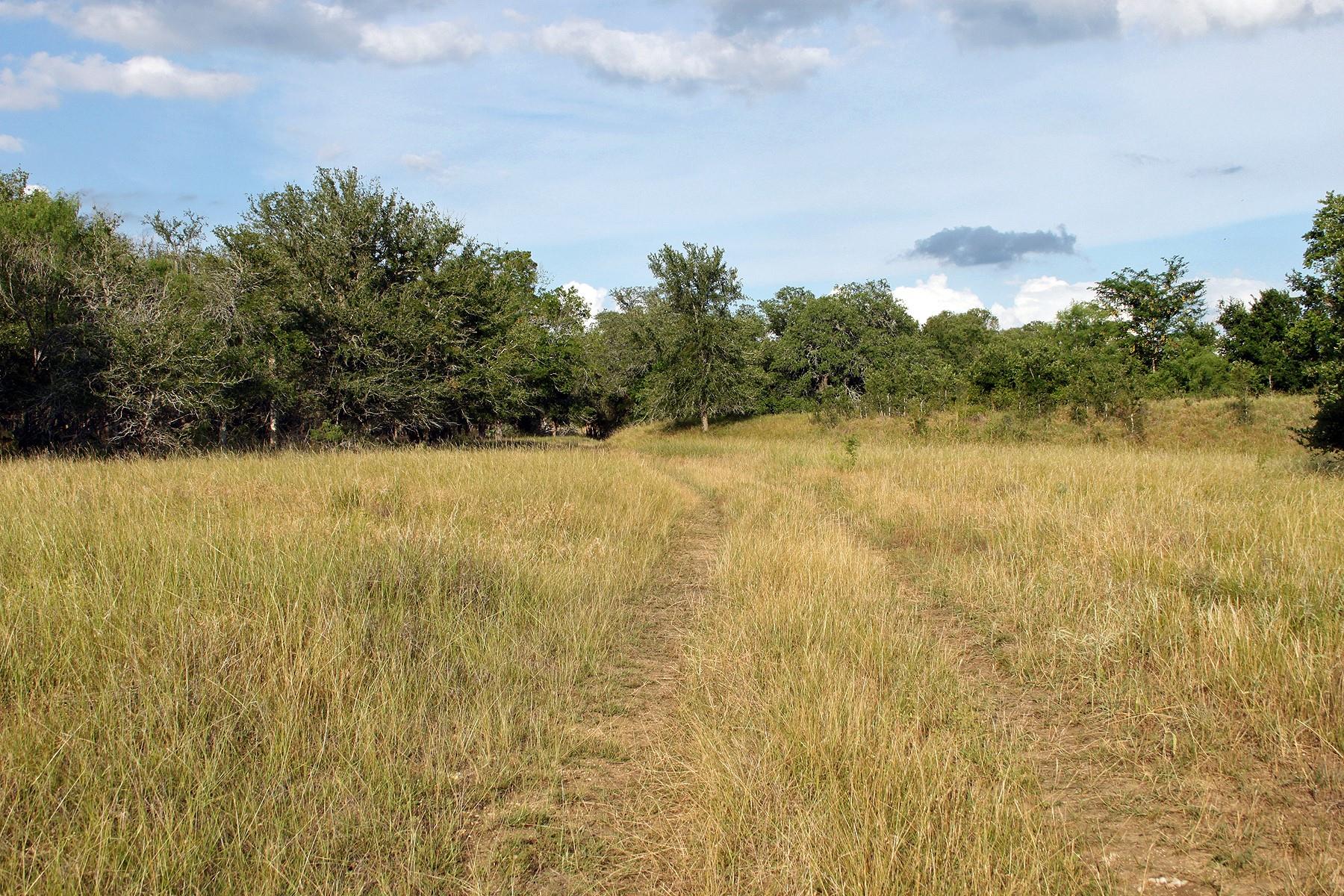 6020 FM 3158 Highway, Dale, TX 78616