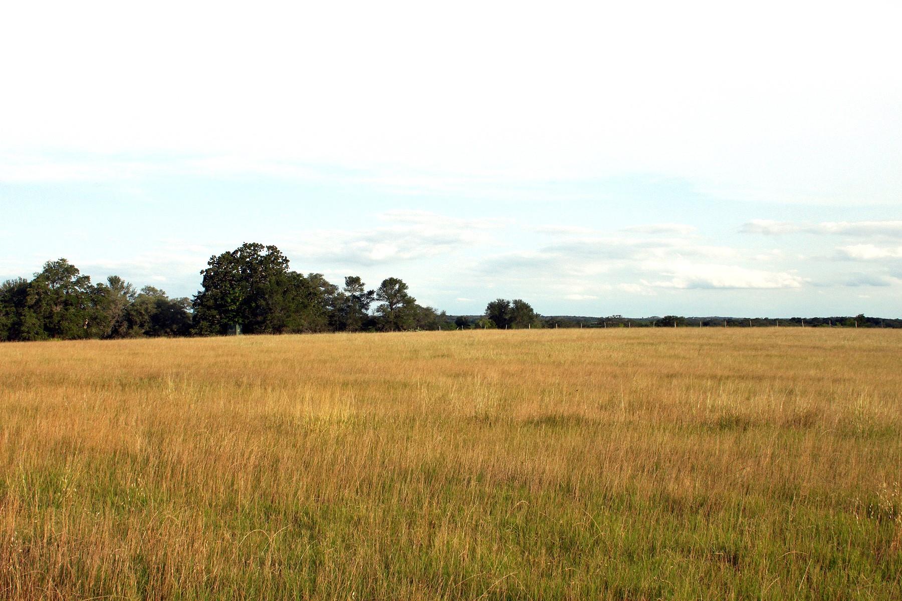 6020 FM 3158 Highway, Dale, TX 78616