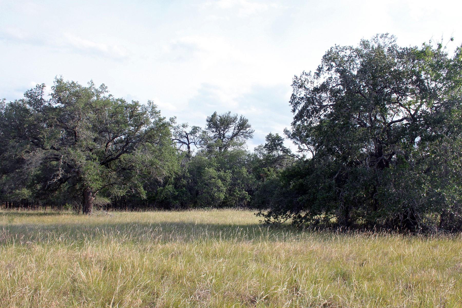6020 FM 3158 Highway, Dale, TX 78616