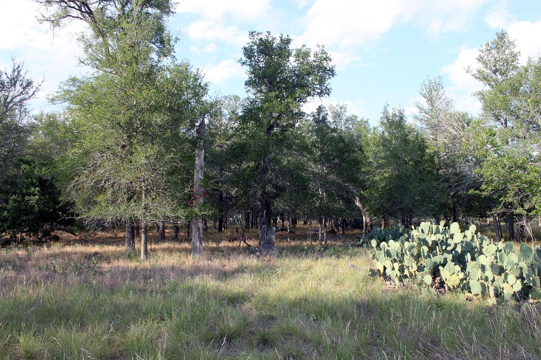 6020 FM 3158 Highway, Dale, TX 78616