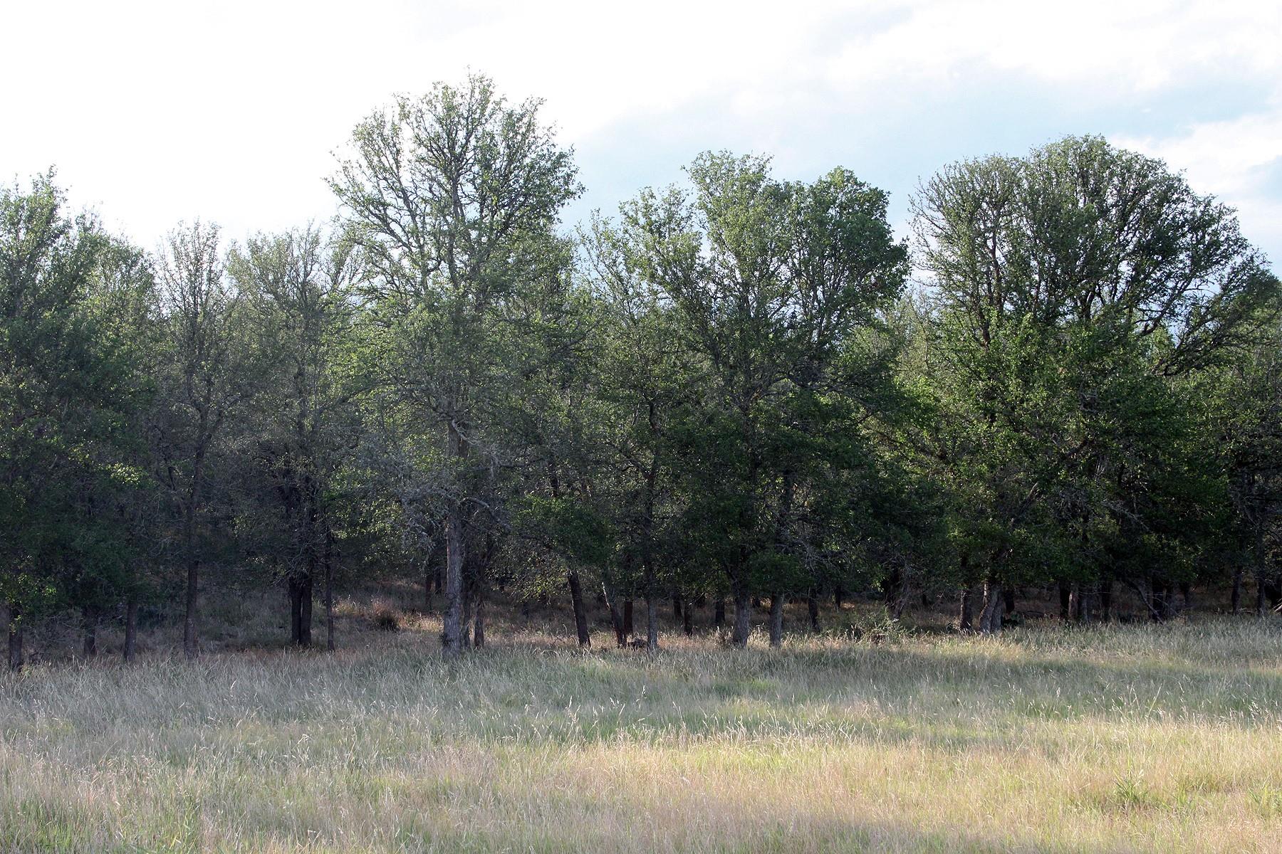 6020 FM 3158 Highway, Dale, TX 78616