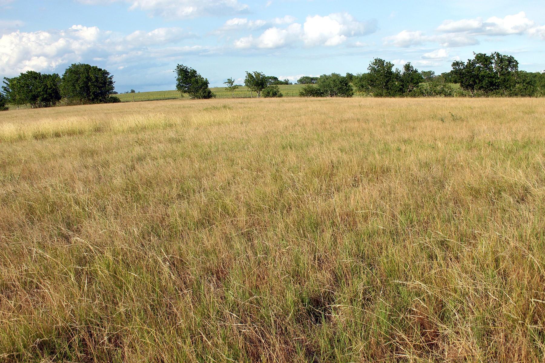 6020 FM 3158 Highway, Dale, TX 78616