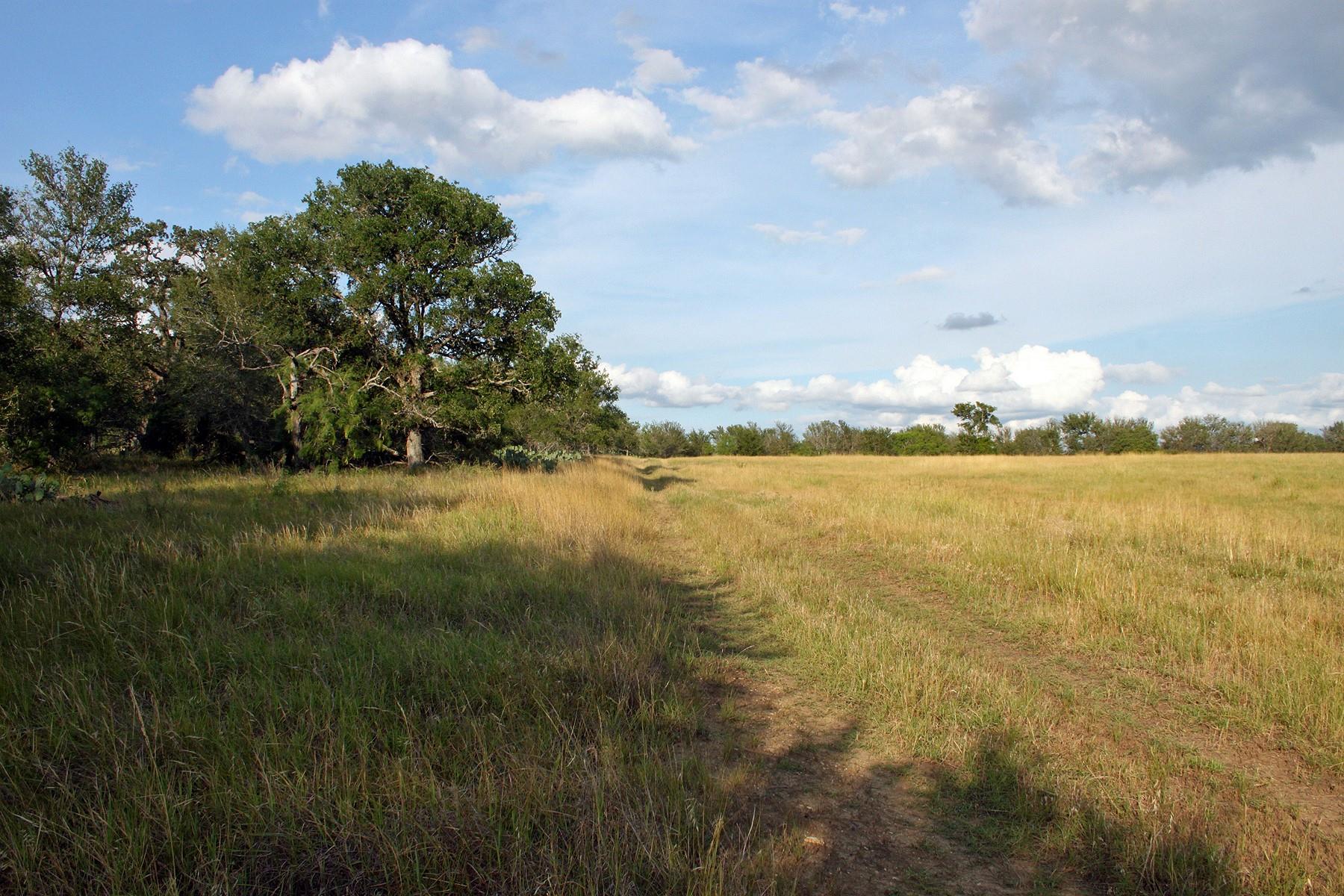 6020 FM 3158 Highway, Dale, TX 78616