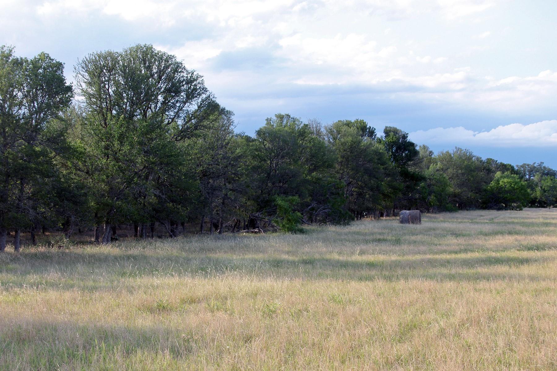 6020 FM 3158 Highway, Dale, TX 78616
