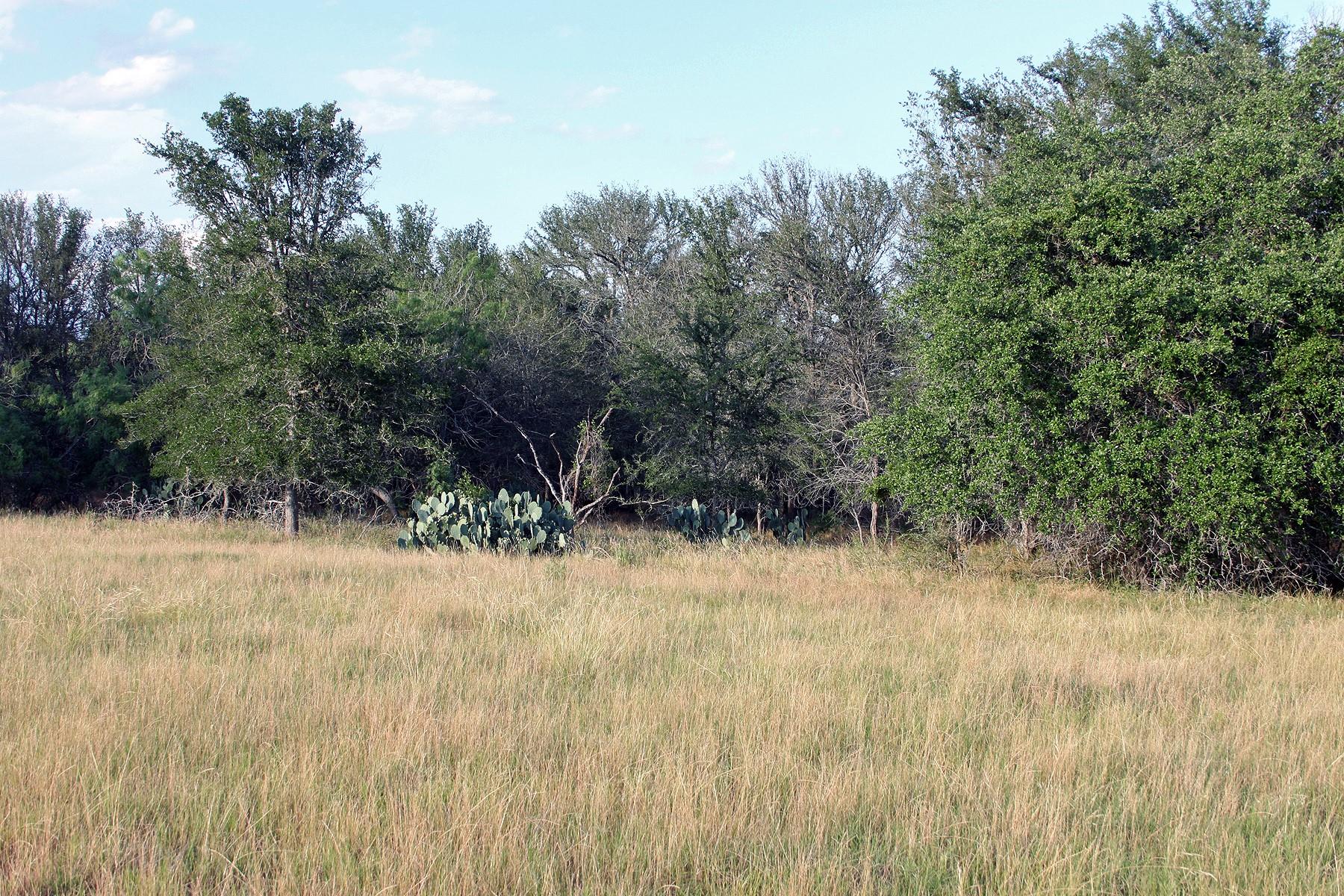 6020 FM 3158 Highway, Dale, TX 78616