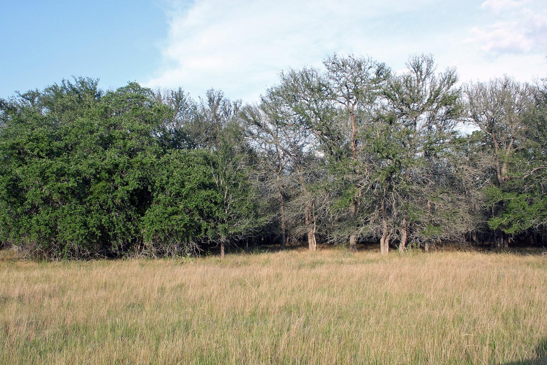 6020 FM 3158 Highway, Dale, TX 78616