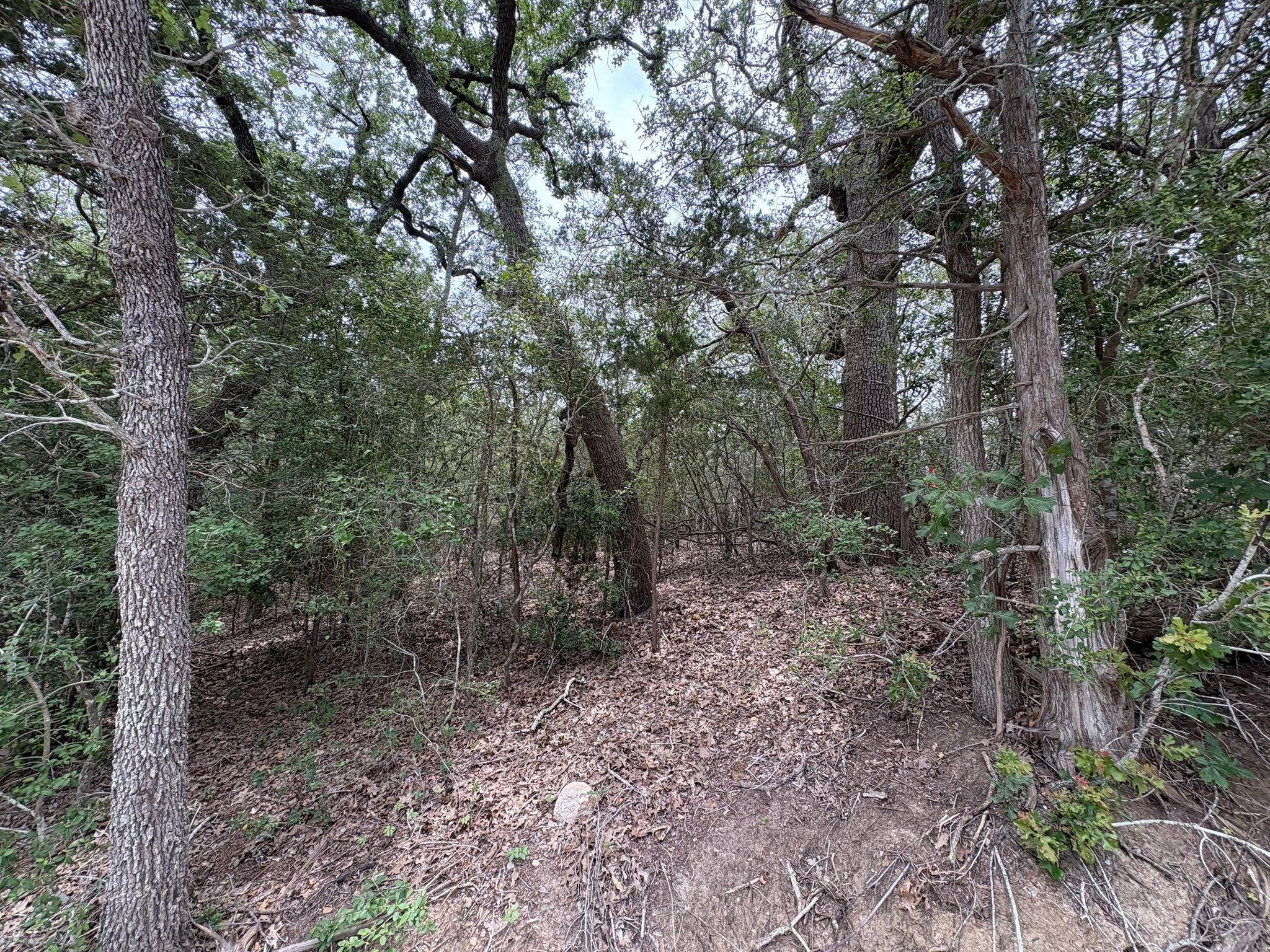185 Kaaawa Ln, Bastrop, TX 78602
