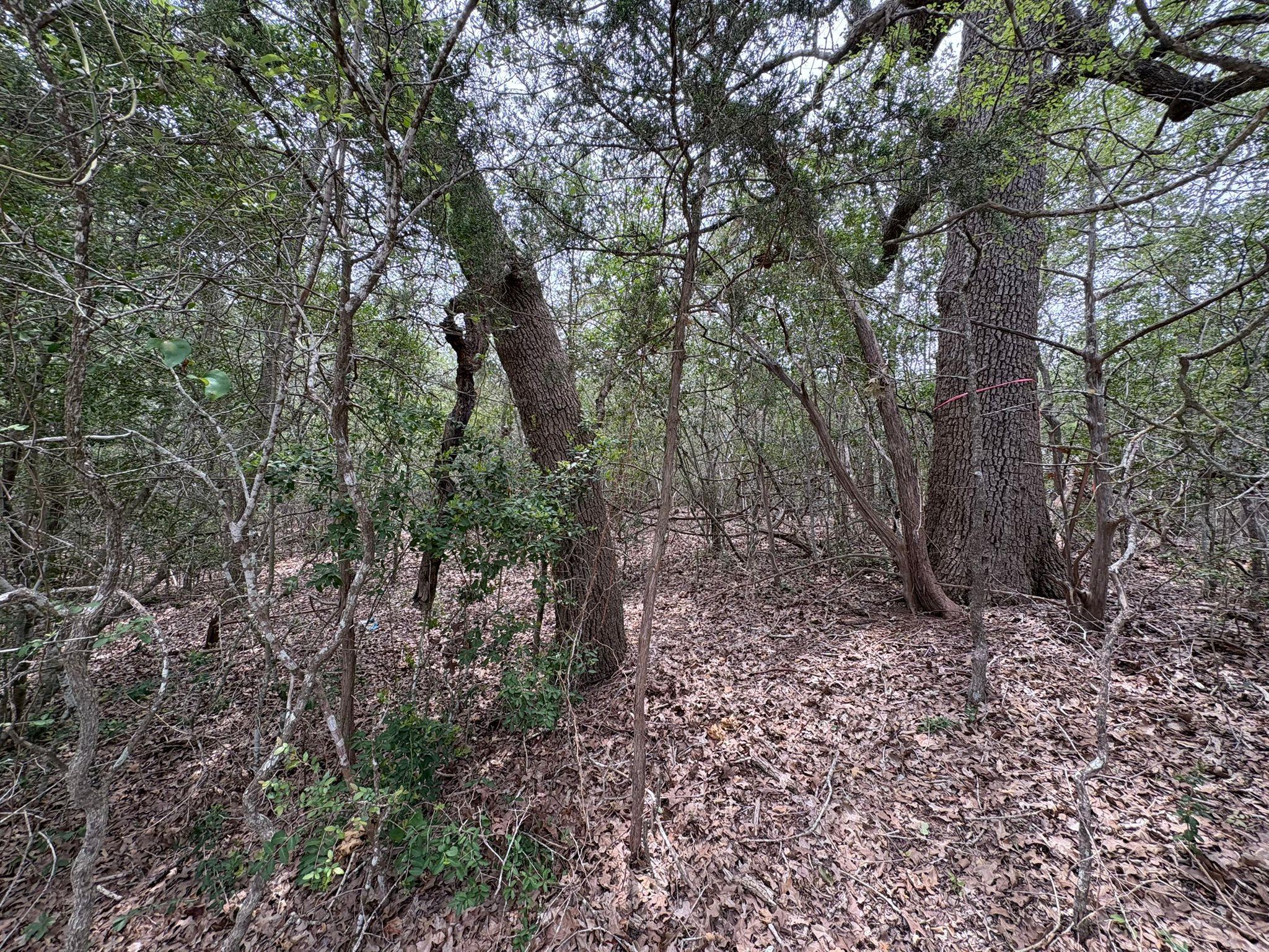 185 Kaaawa Ln, Bastrop, TX 78602