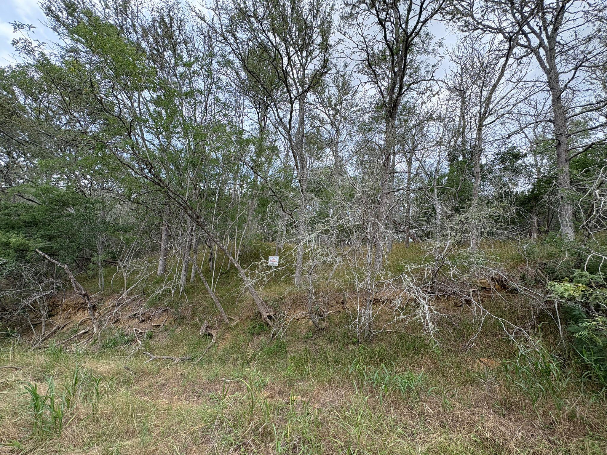 0000 Kaukonahua Ln, Bastrop, TX 78602