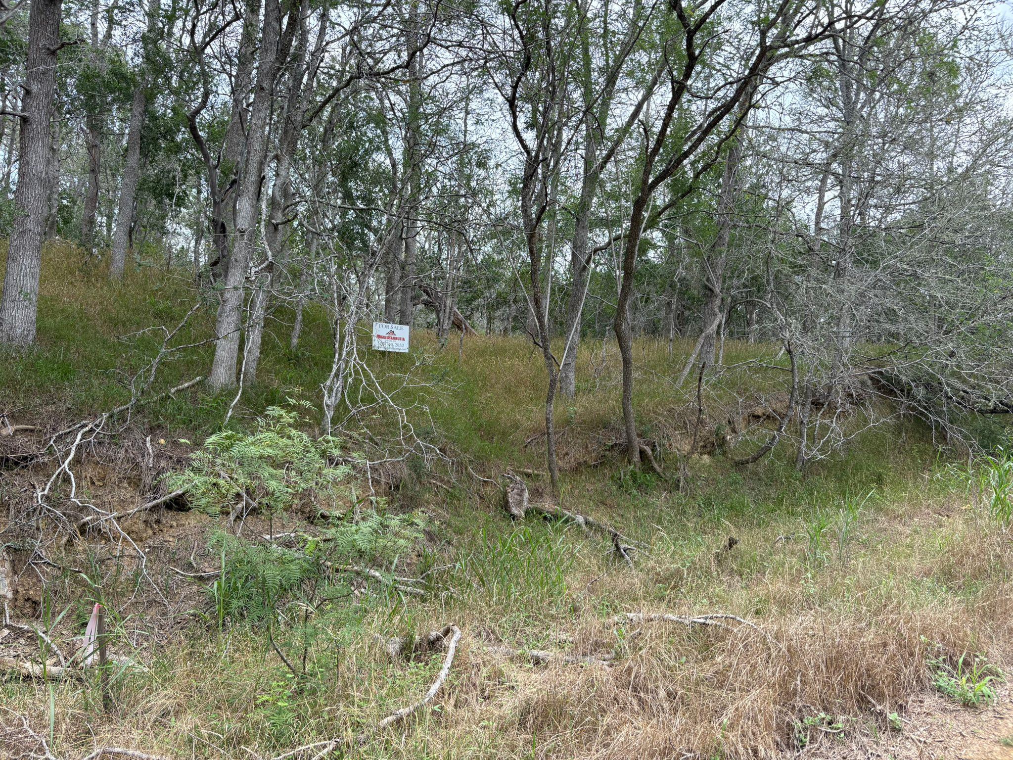 0000 Kaukonahua Ln, Bastrop, TX 78602