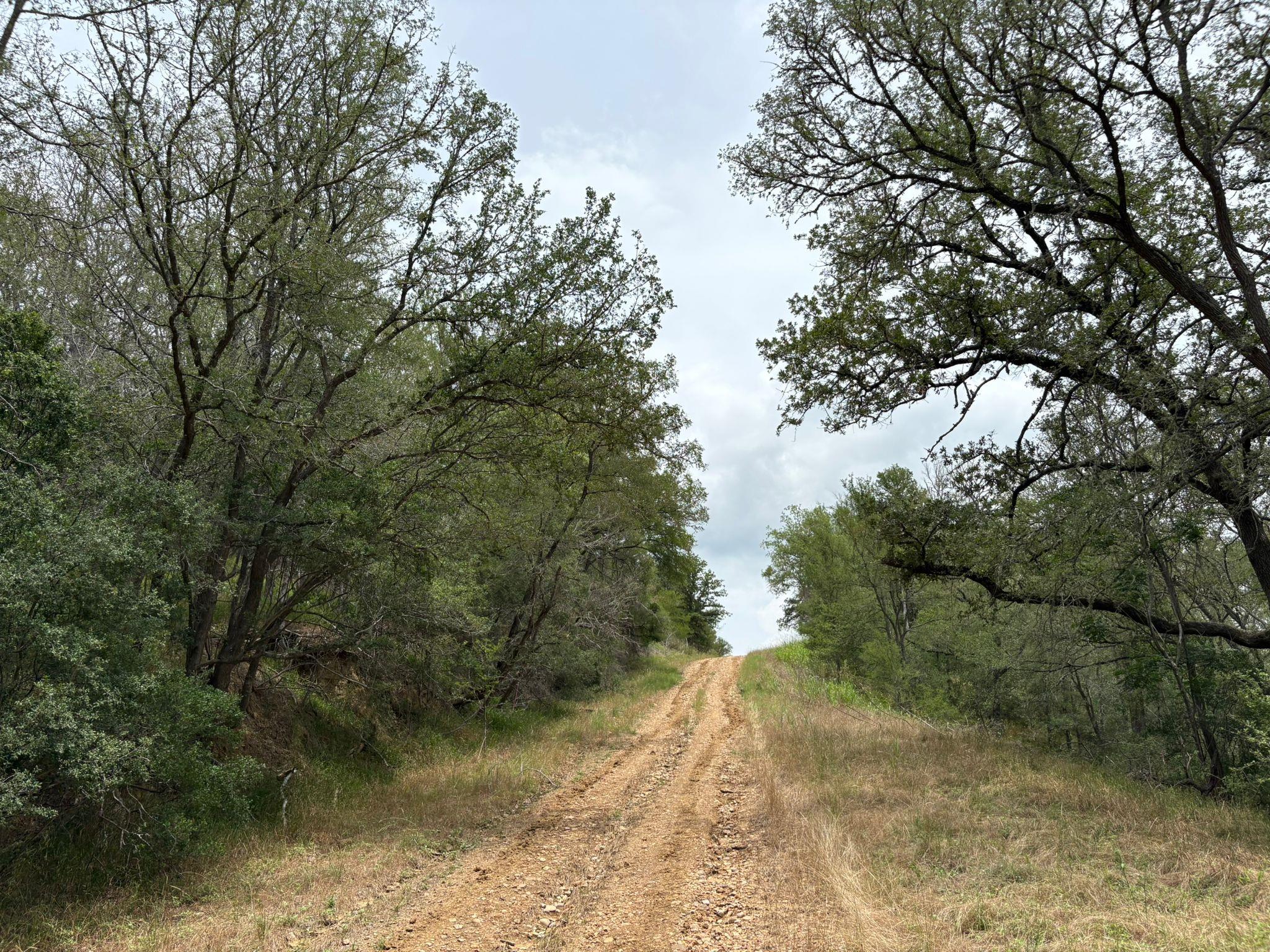 0000 Kaukonahua Ln, Bastrop, TX 78602