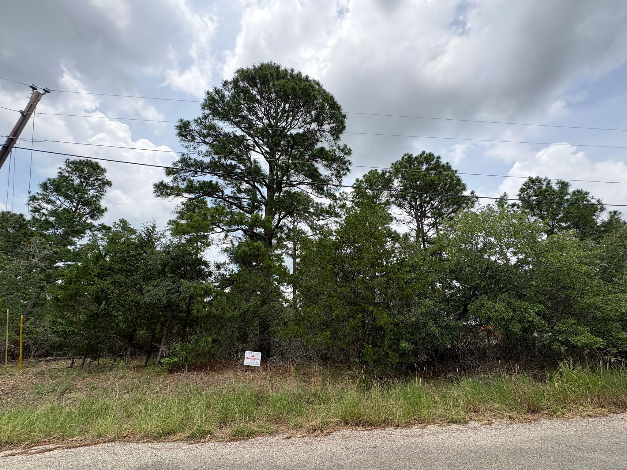 0 Kaelepulu Lot 240 Dr, Bastrop, TX 78602