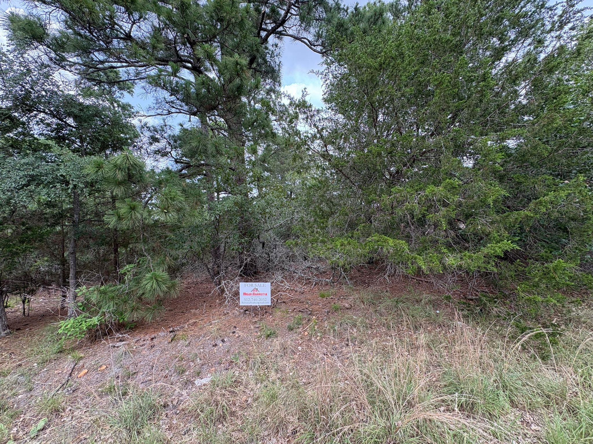 0 Kaelepulu Lot 240 Dr, Bastrop, TX 78602