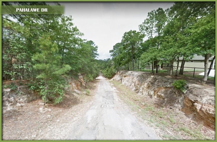0 Pahalawe Ln, Bastrop, TX 78602