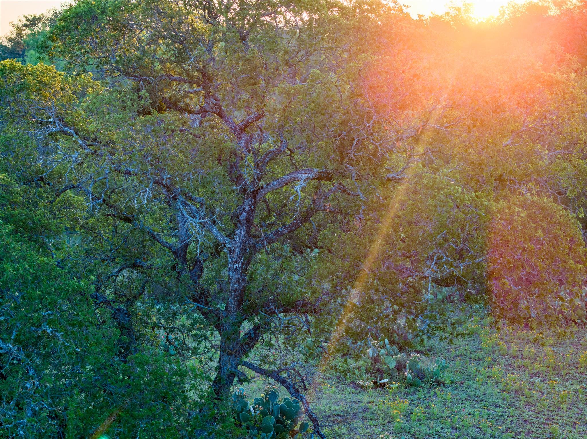Marble Falls, TX 78654